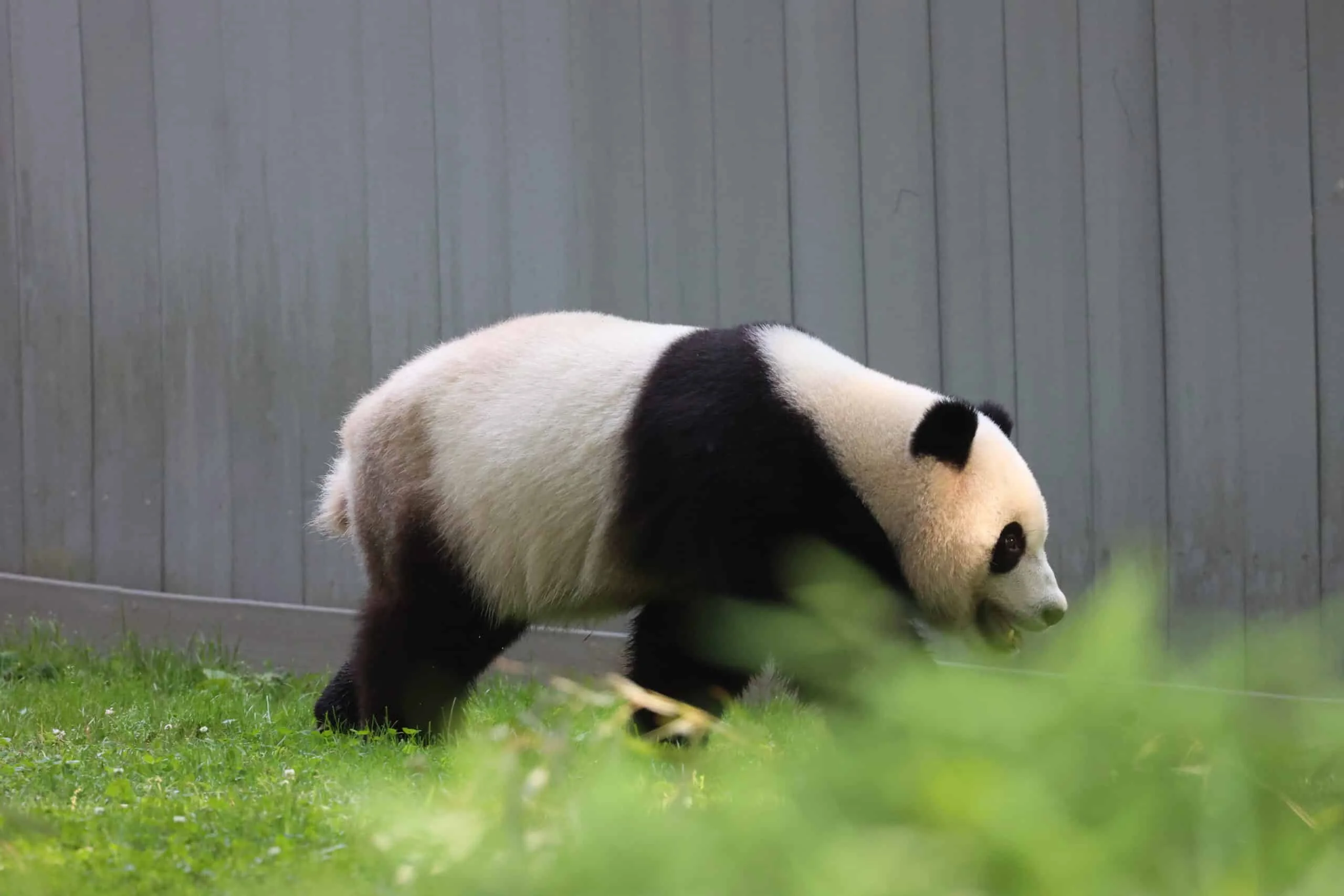 Smithsonian's National Zoo