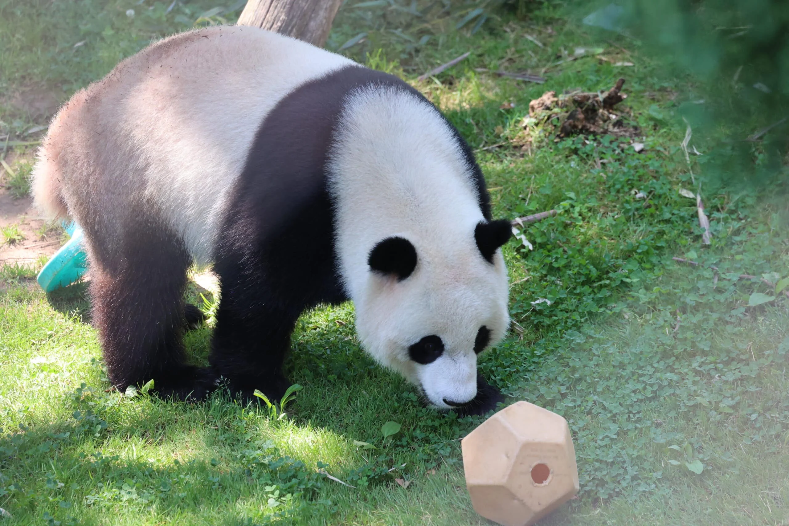 Smithsonian's National Zoo