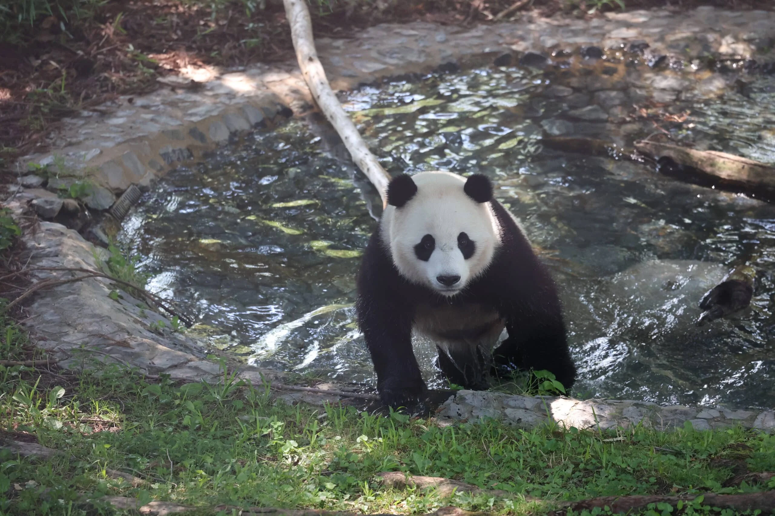 Smithsonian's National Zoo