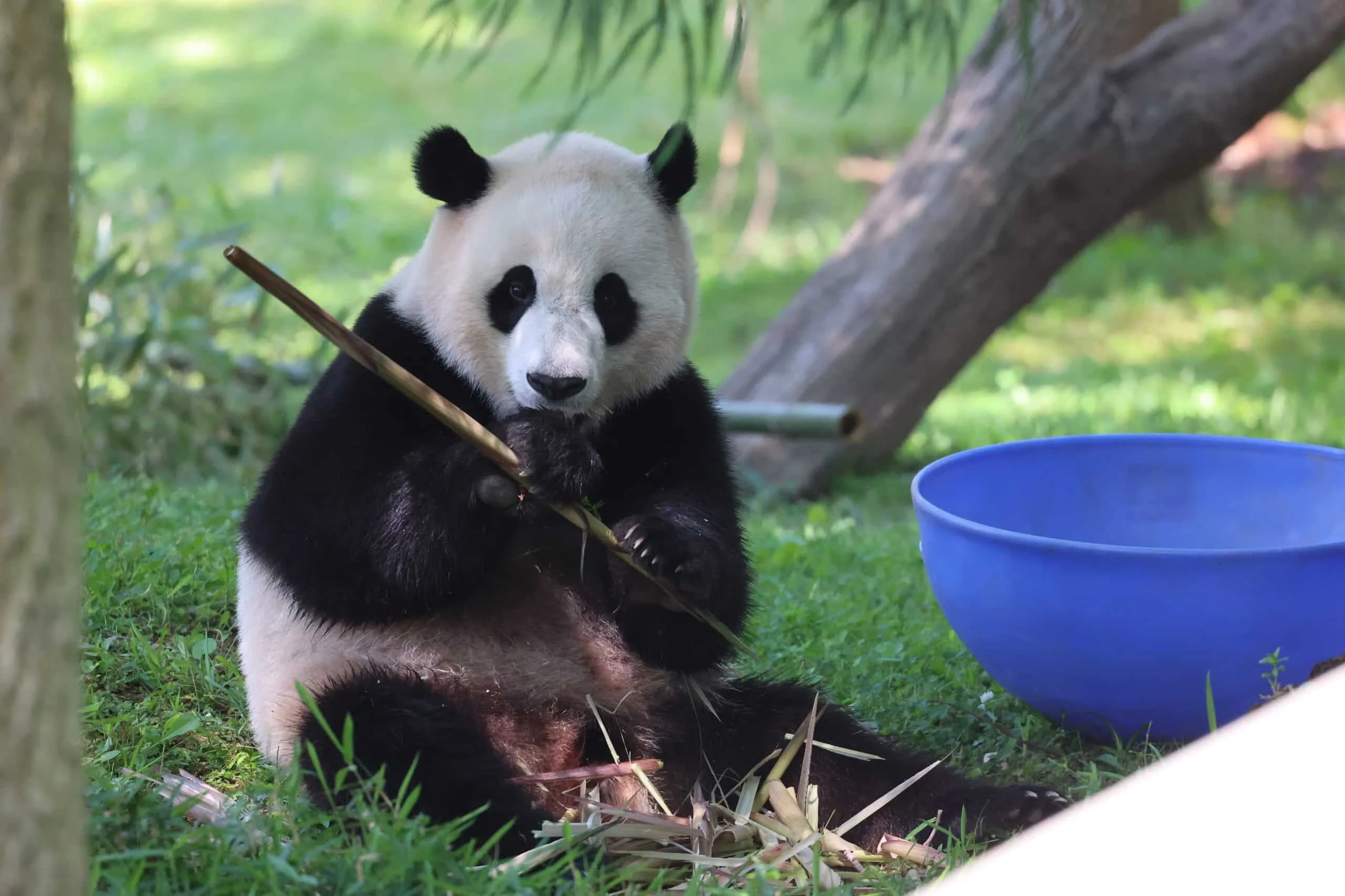Smithsonian's National Zoo