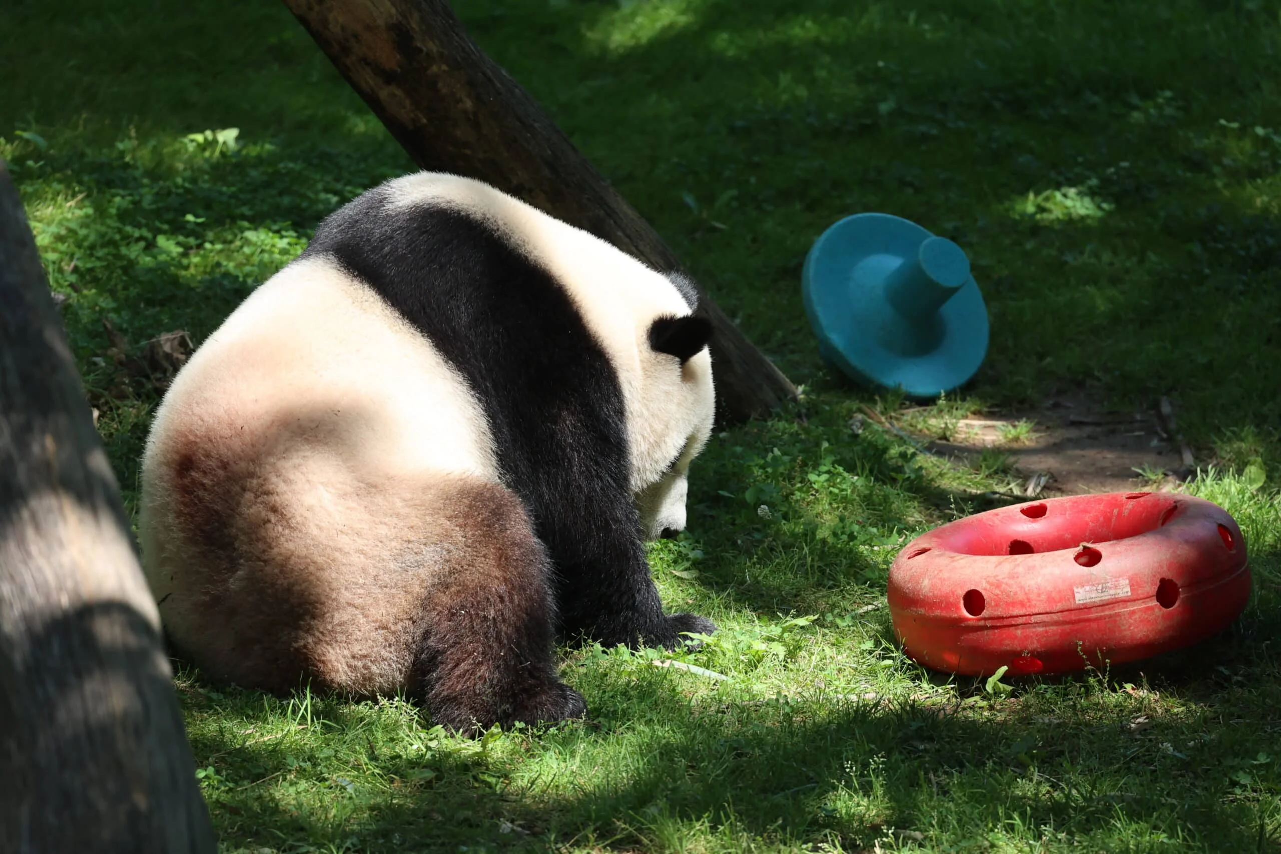 Smithsonian's National Zoo