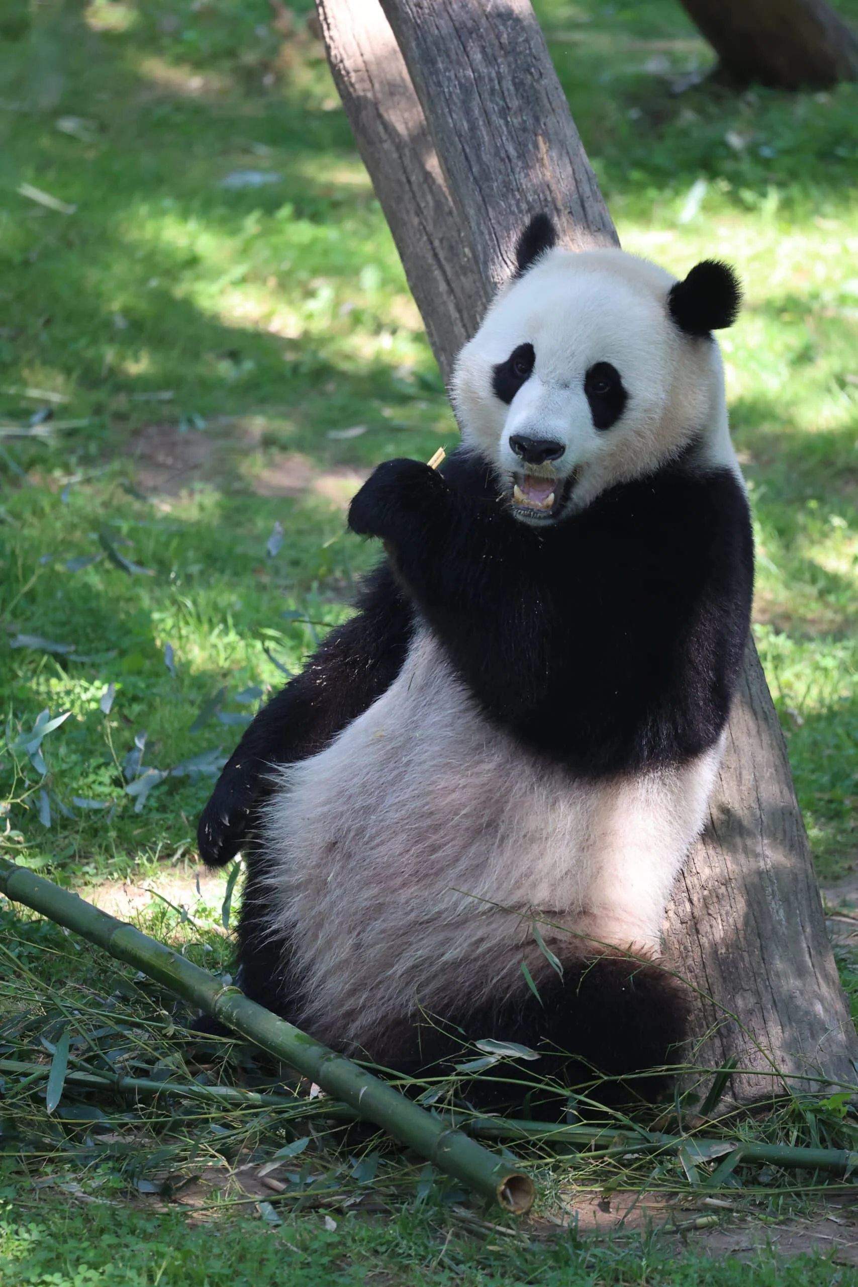 Smithsonian's National Zoo