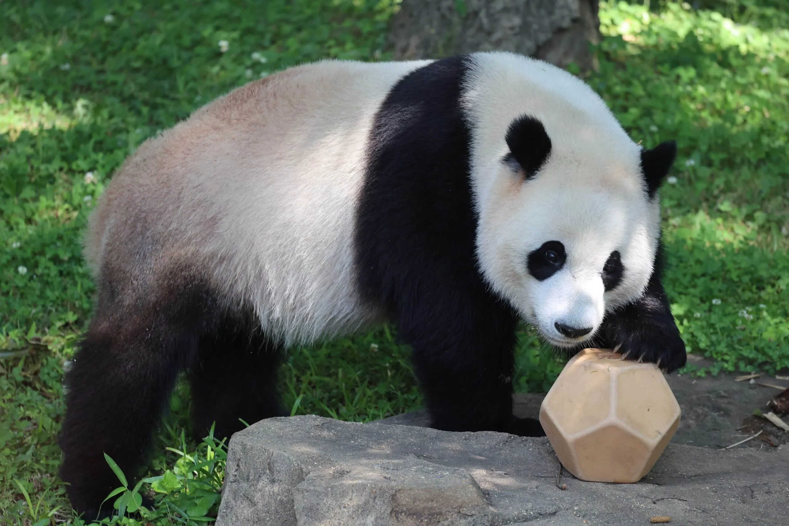Smithsonian's National Zoo