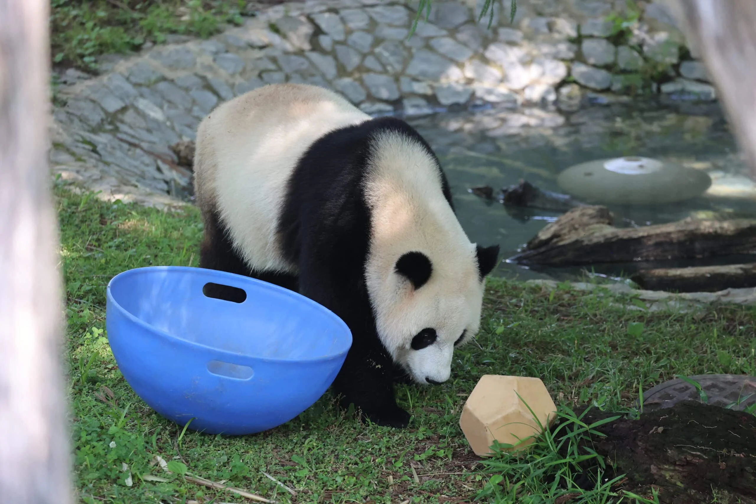 Smithsonian's National Zoo
