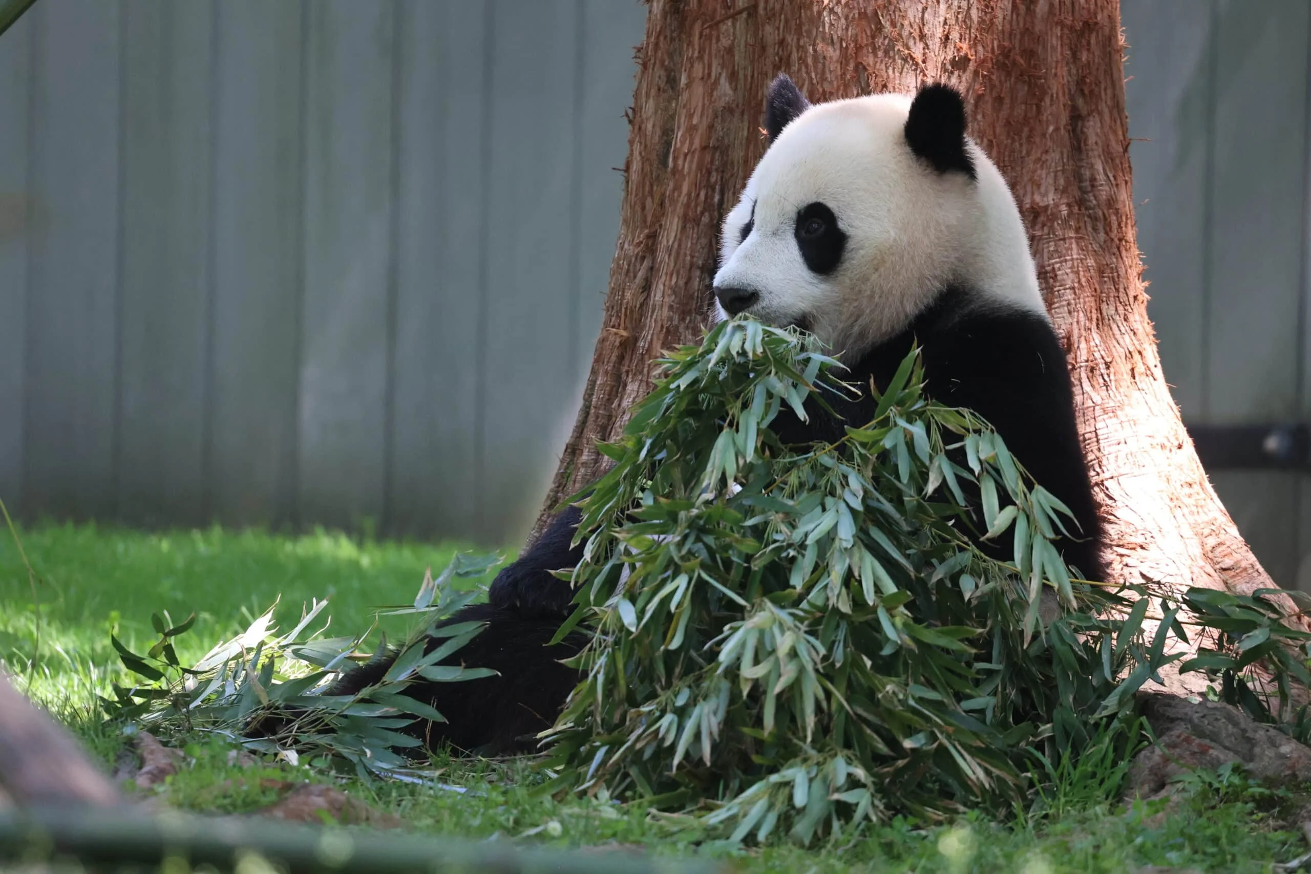 Smithsonian's National Zoo