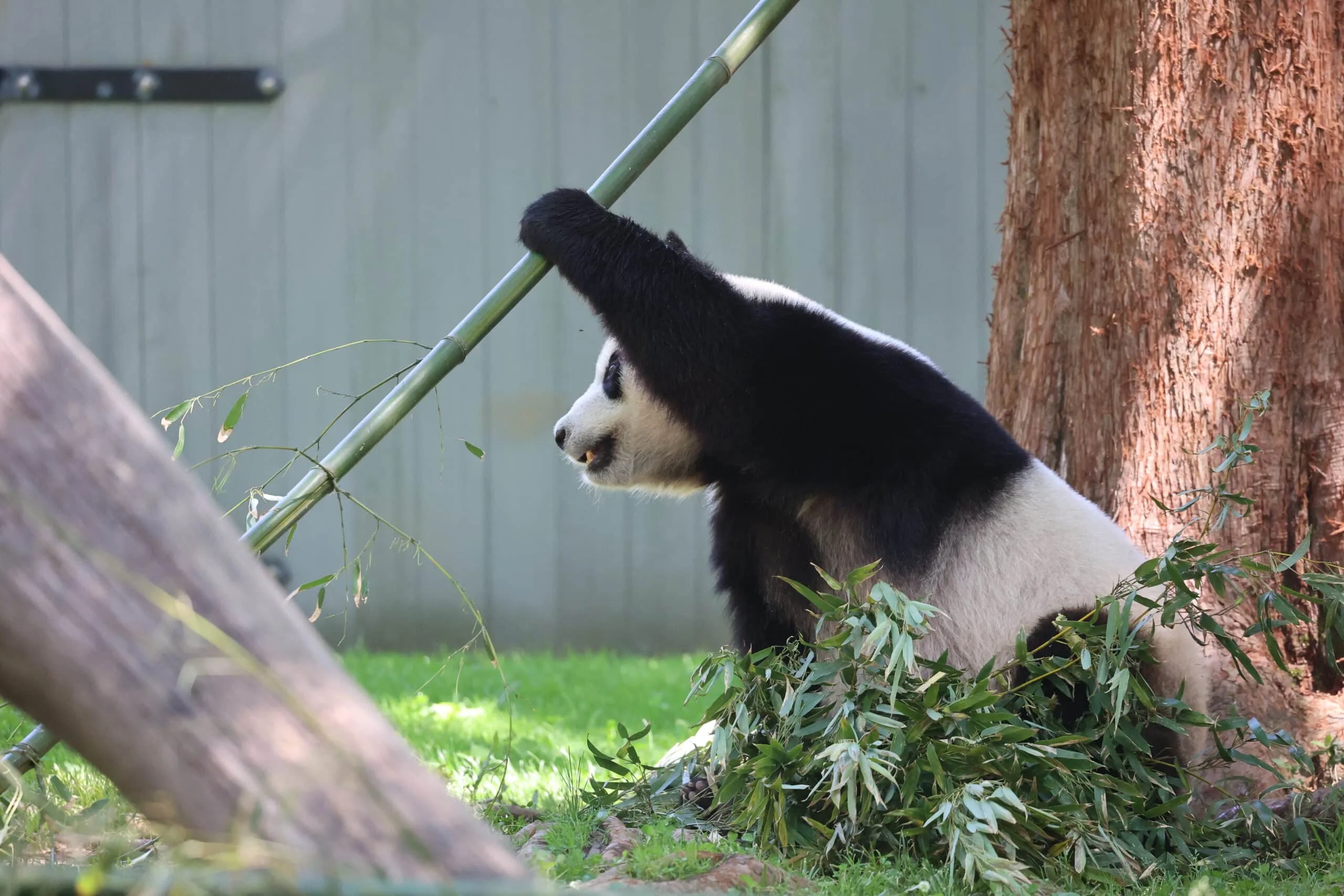 Smithsonian's National Zoo