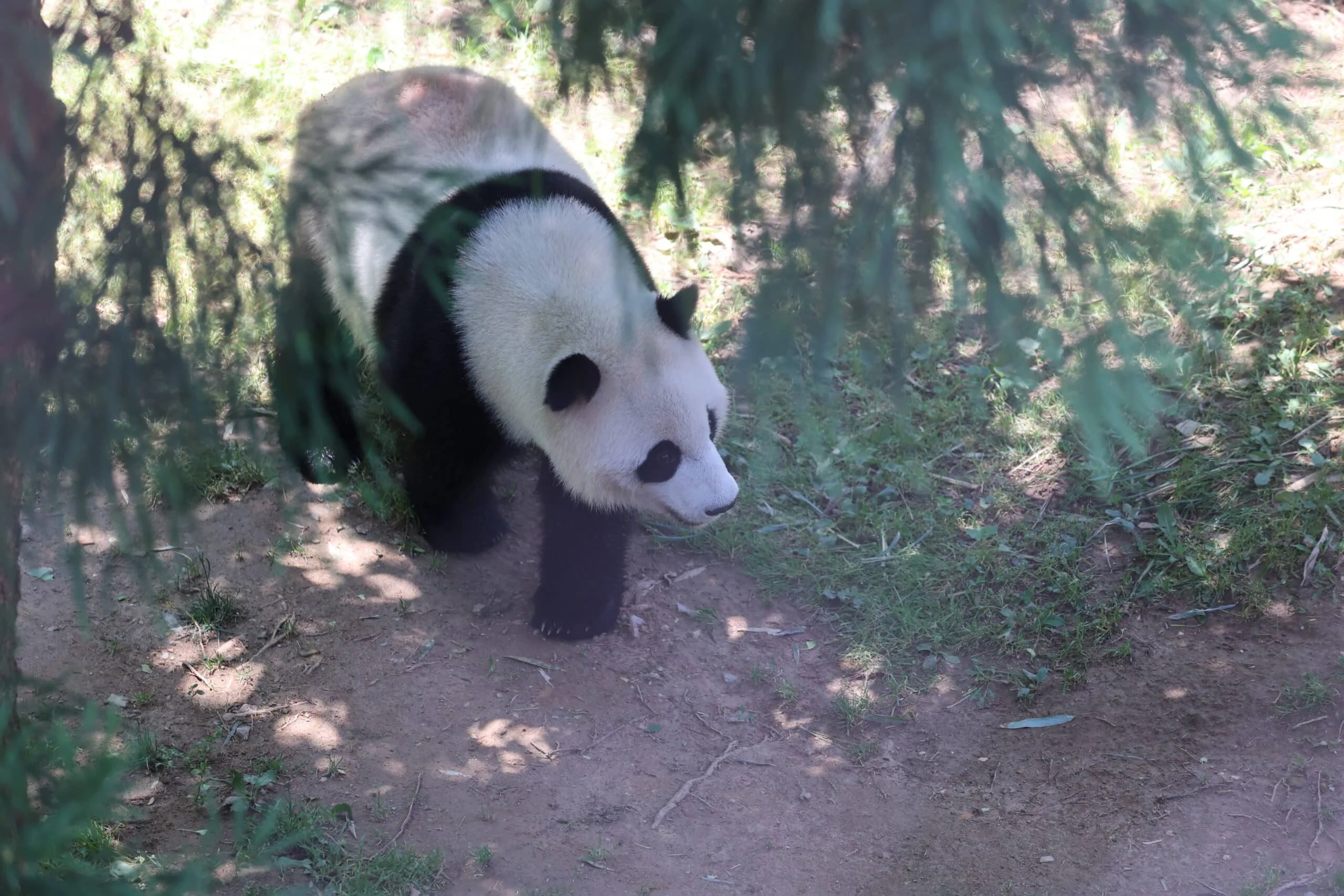Smithsonian's National Zoo