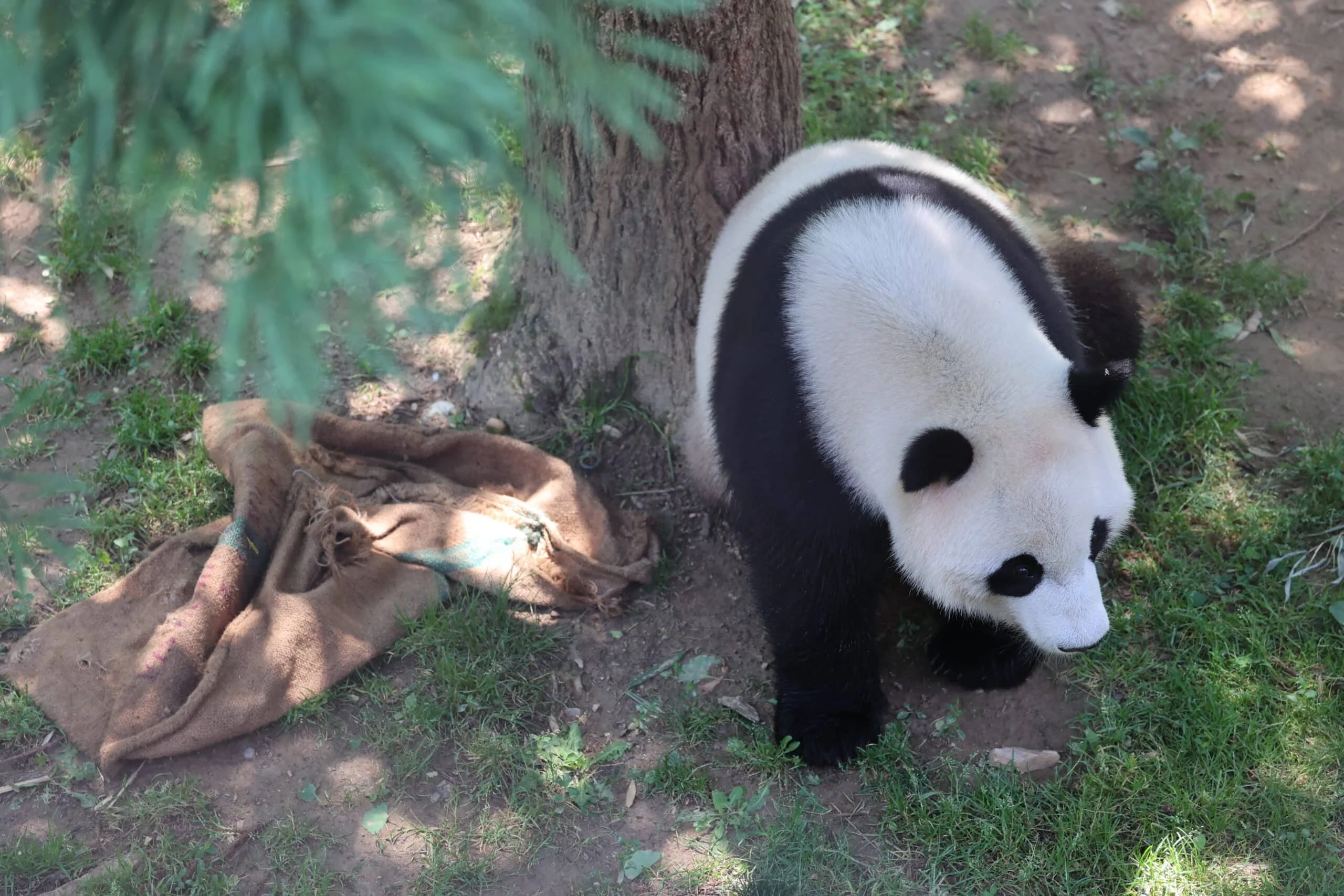 Smithsonian's National Zoo