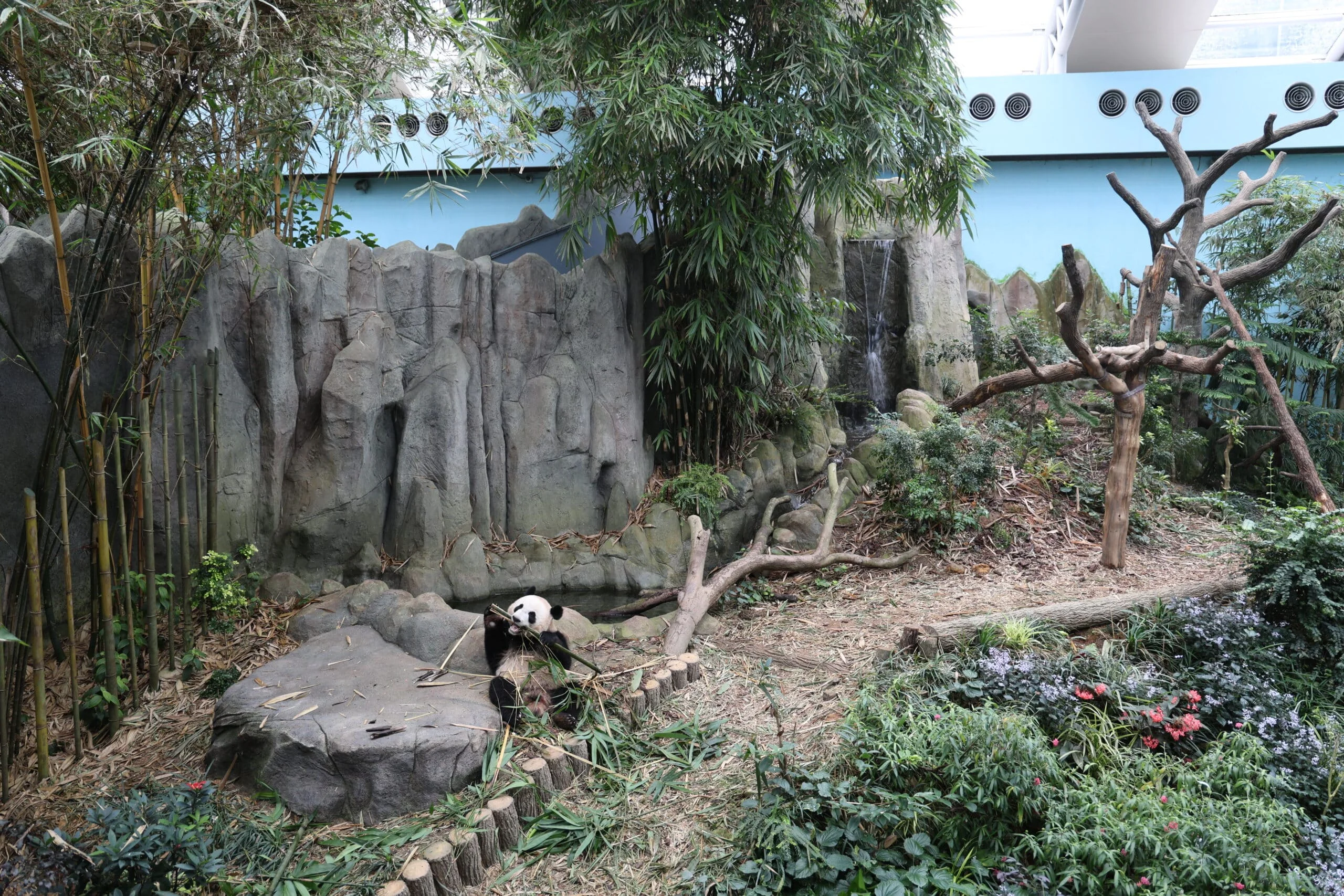 Mandai River Wonders