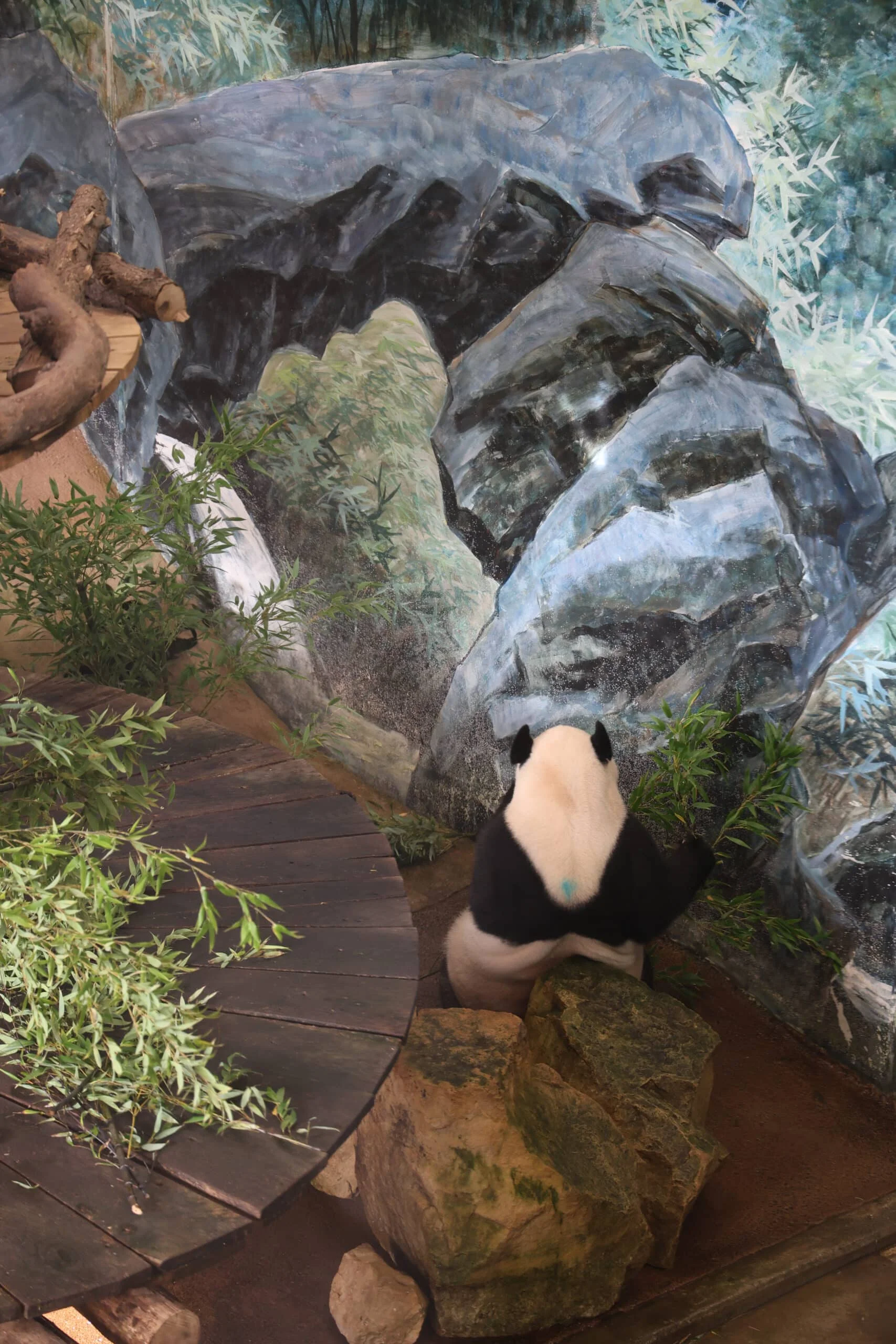 Ouwehands Dierenpark Rhenen