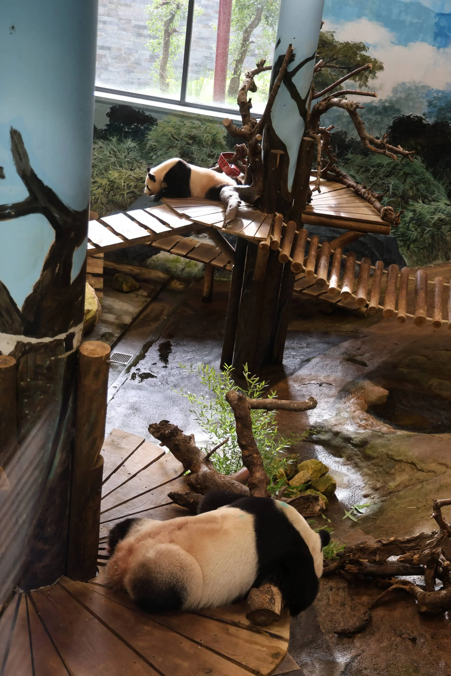 Ouwehands Dierenpark Rhenen