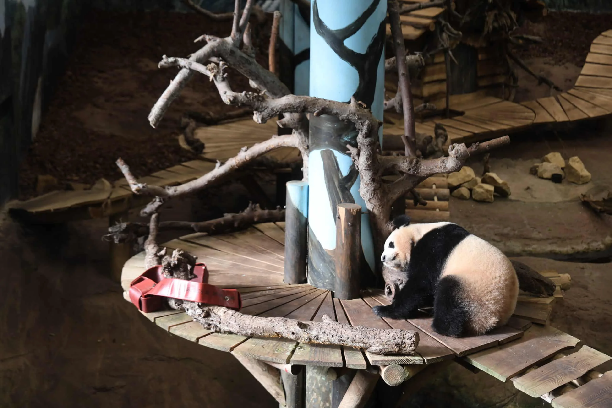 Ouwehands Dierenpark Rhenen