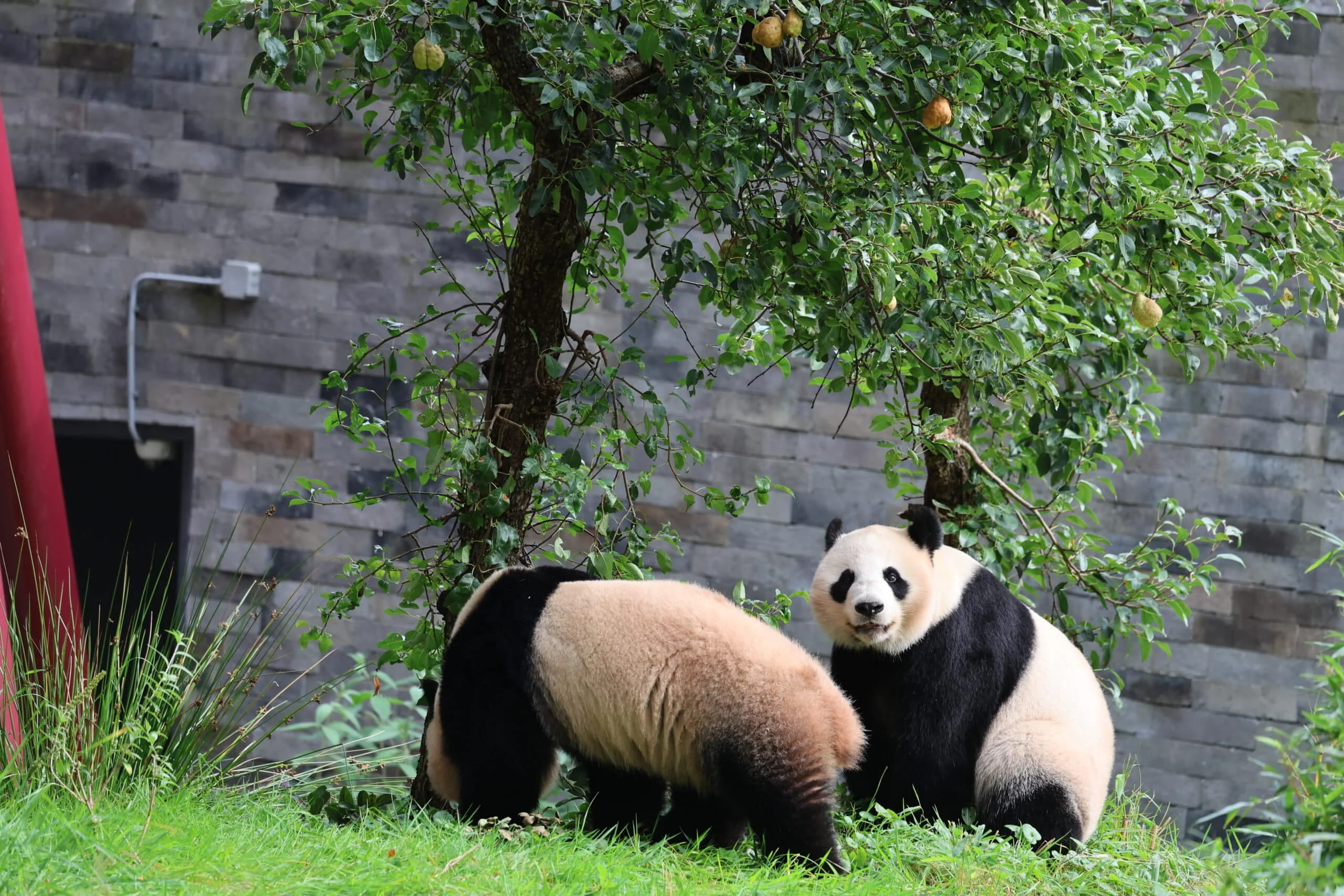 Ouwehands Dierenpark Rhenen