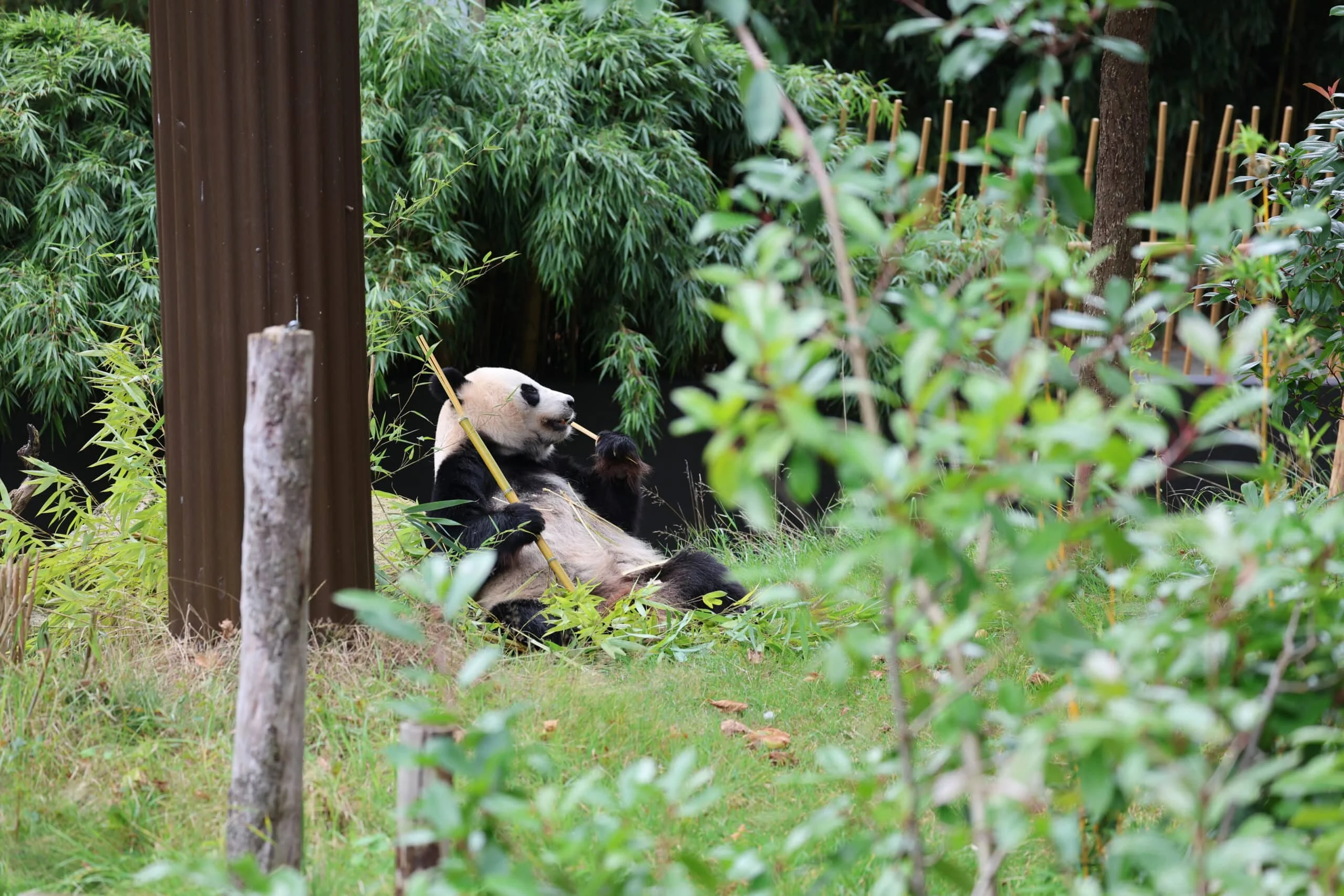 Ouwehands Dierenpark Rhenen