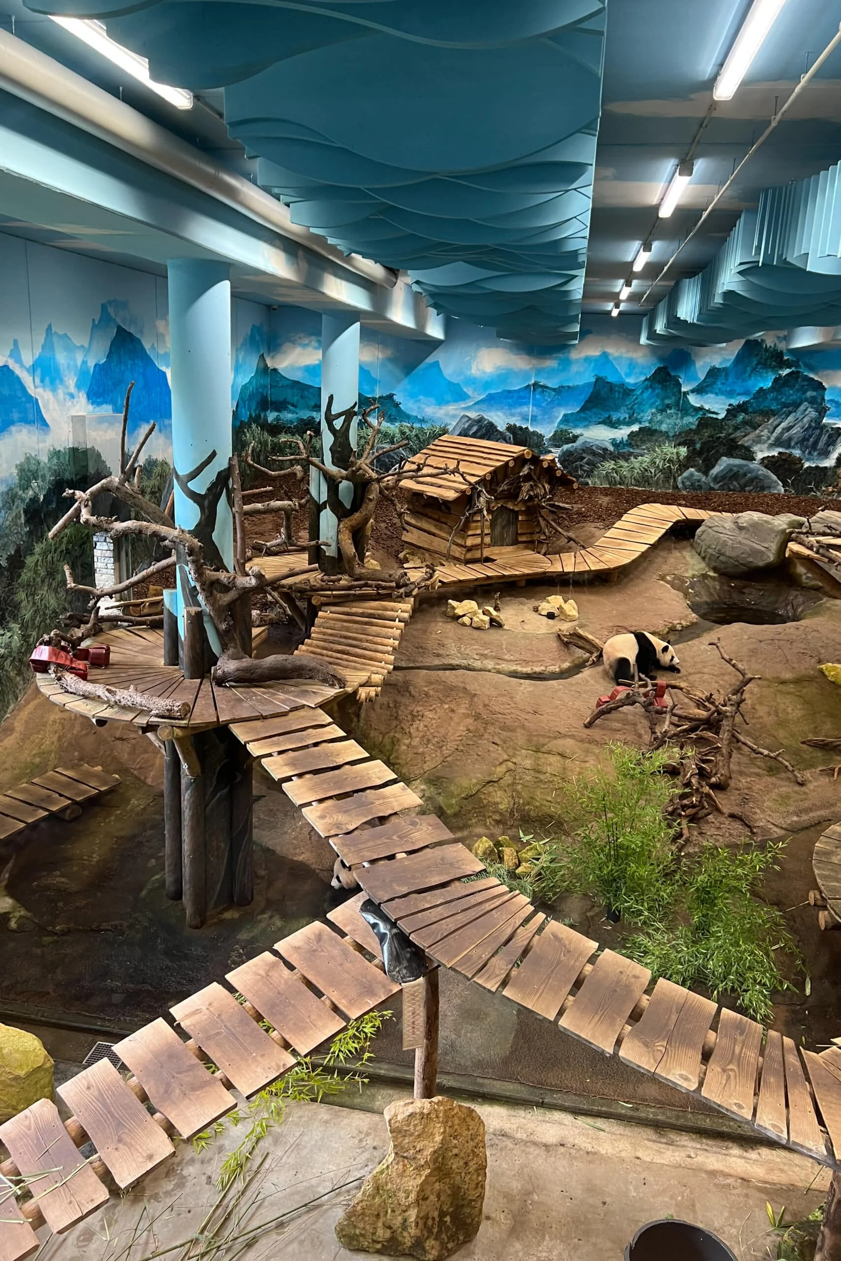 Ouwehands Dierenpark Rhenen