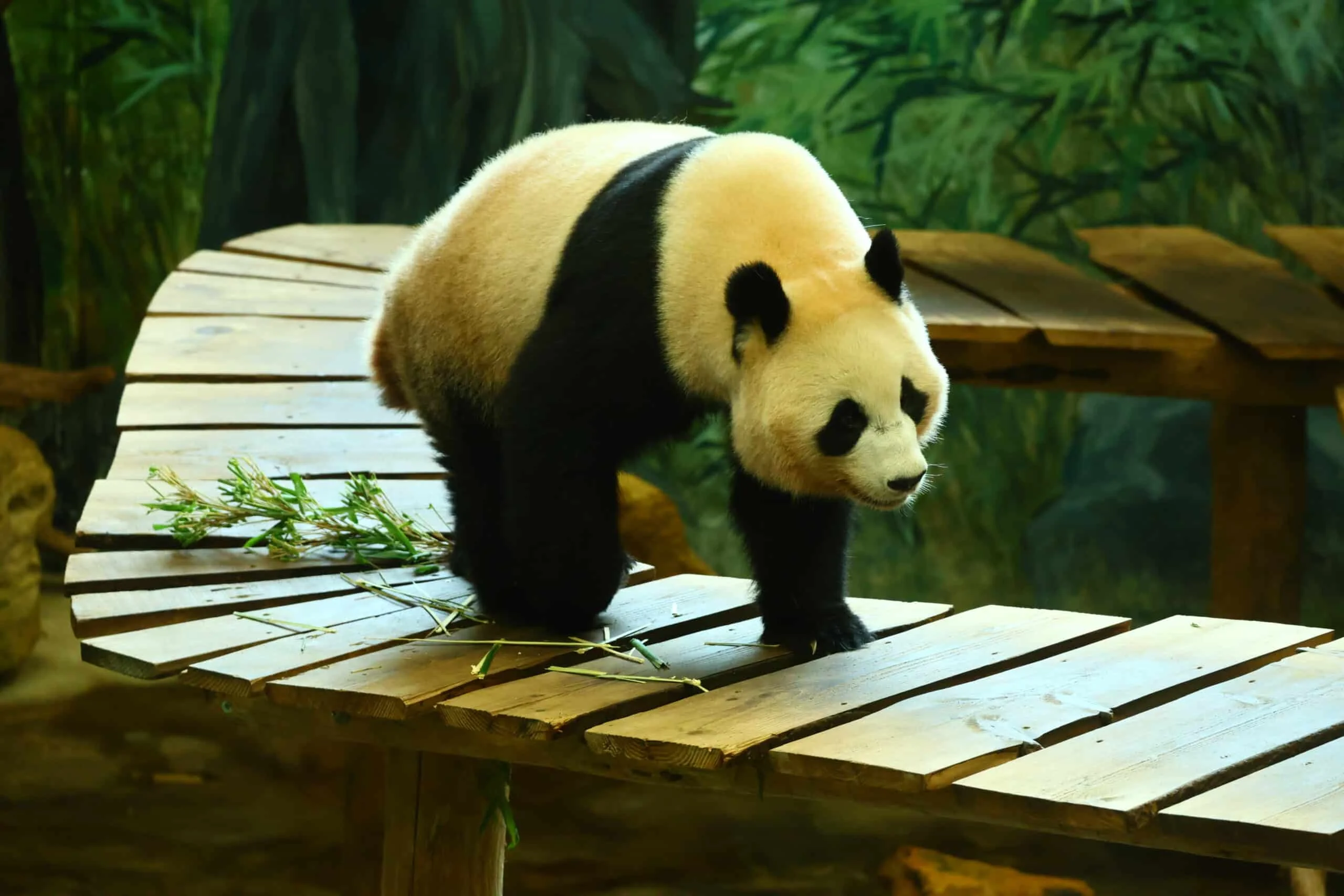 Ouwehands Dierenpark Rhenen