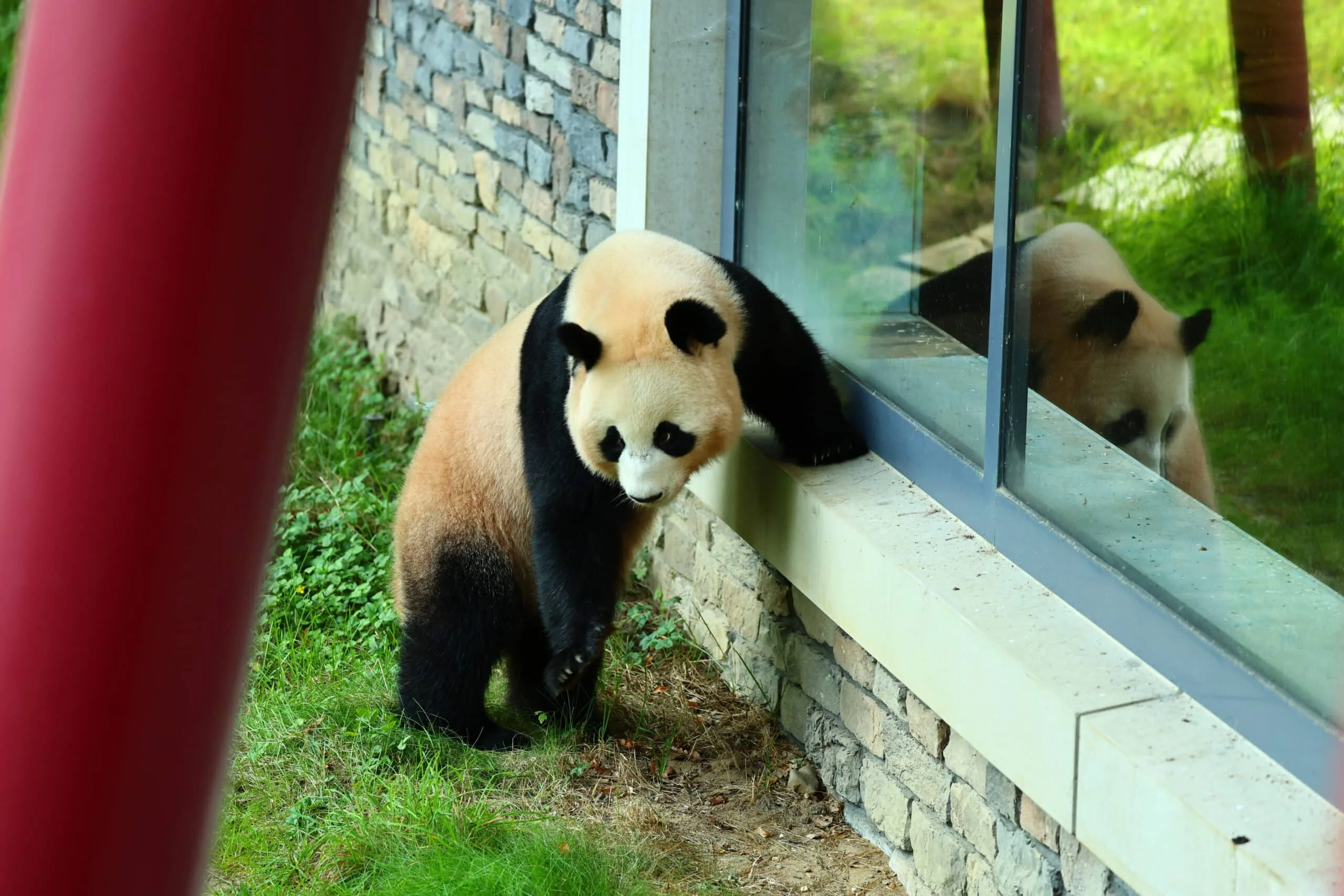 Ouwehands Dierenpark Rhenen