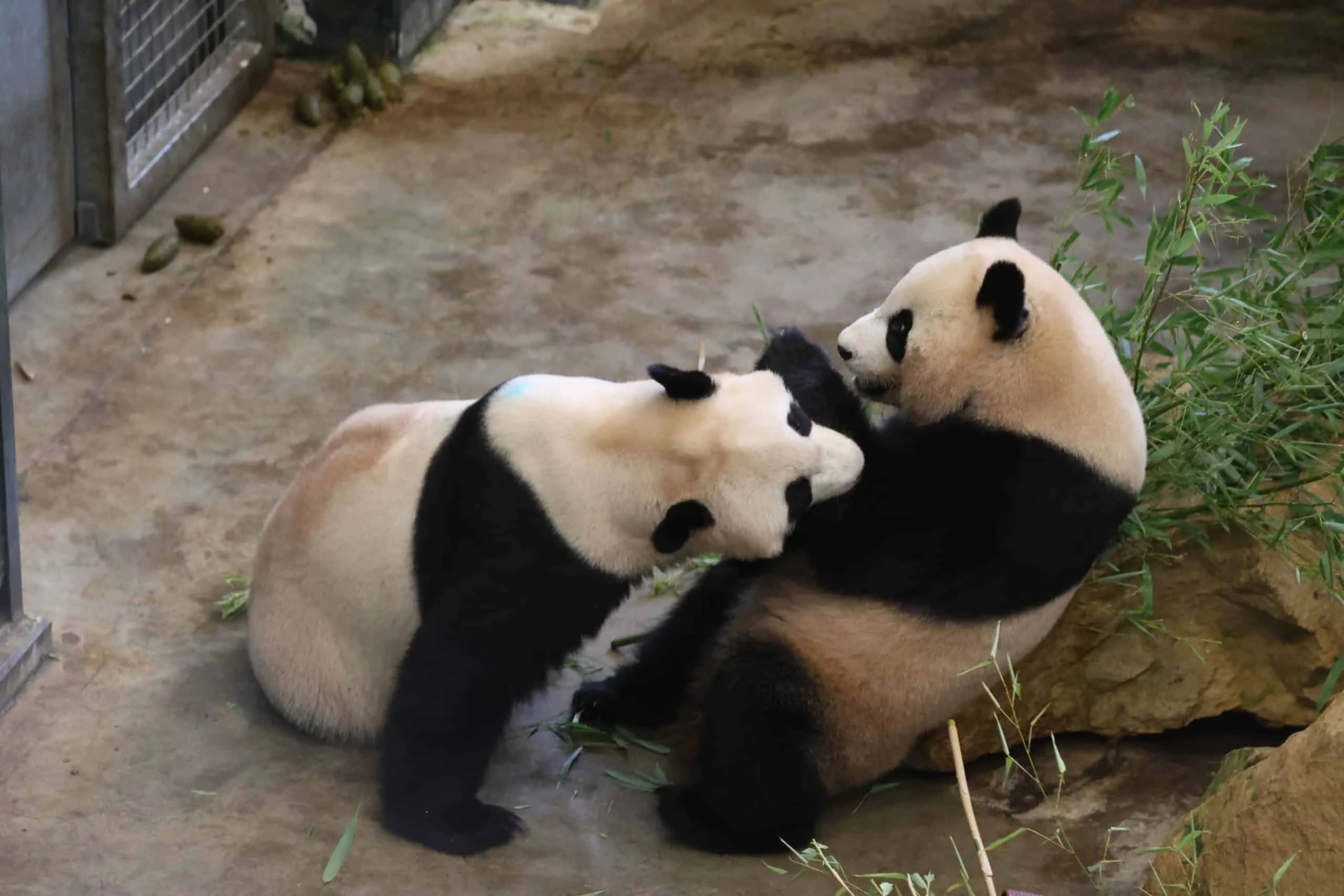 Ouwehands Dierenpark Rhenen