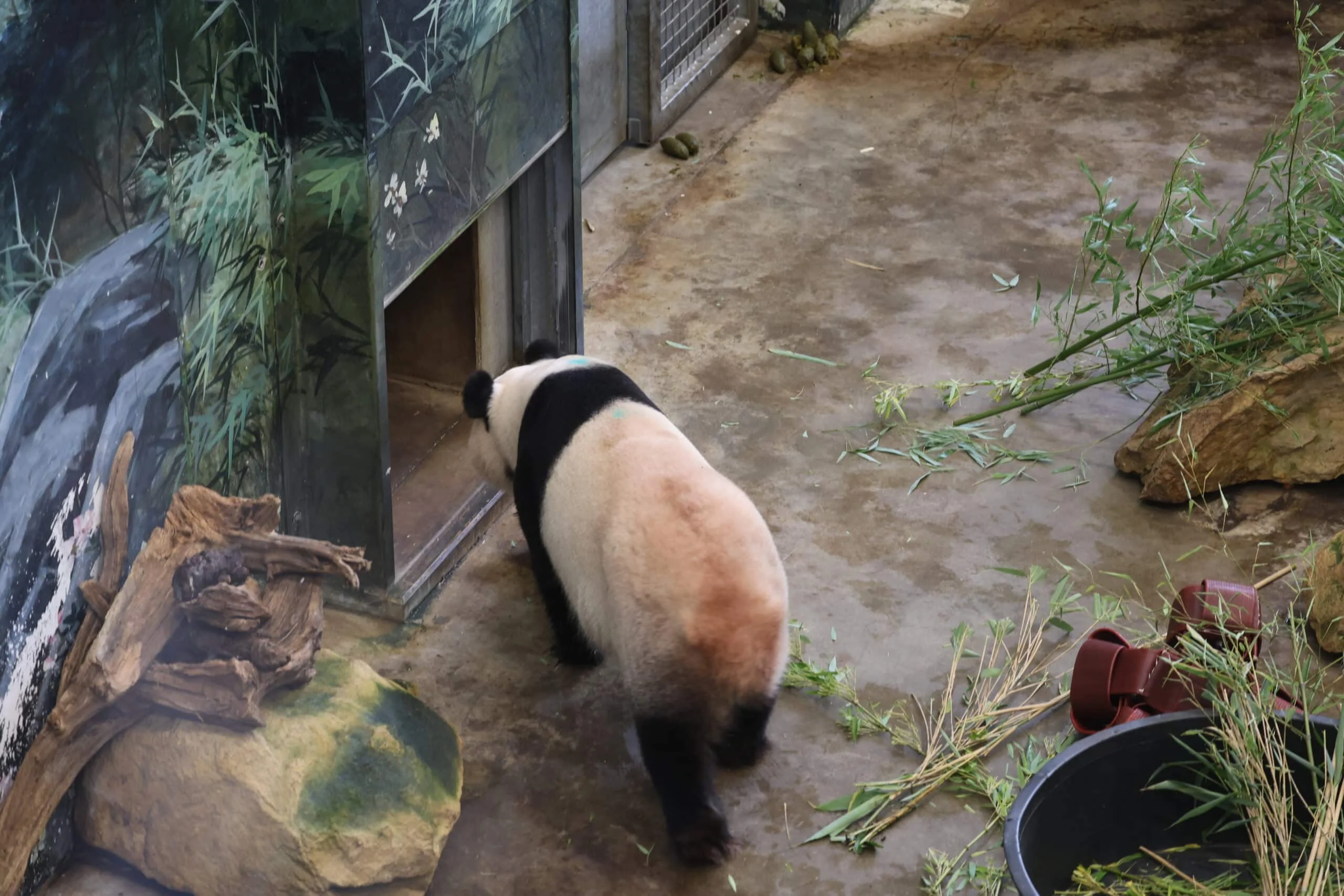 Ouwehands Dierenpark Rhenen