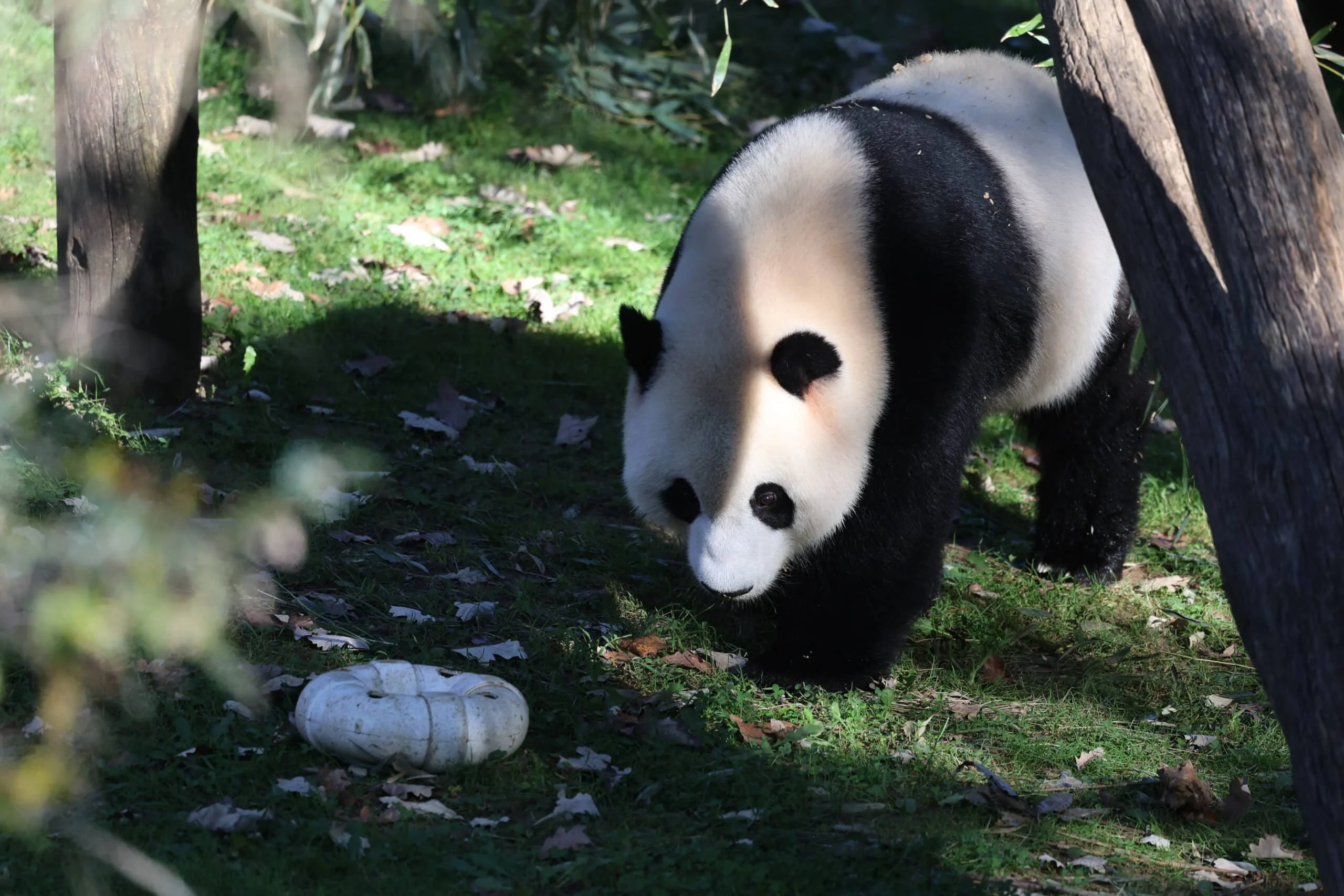 Smithsonian's National Zoo