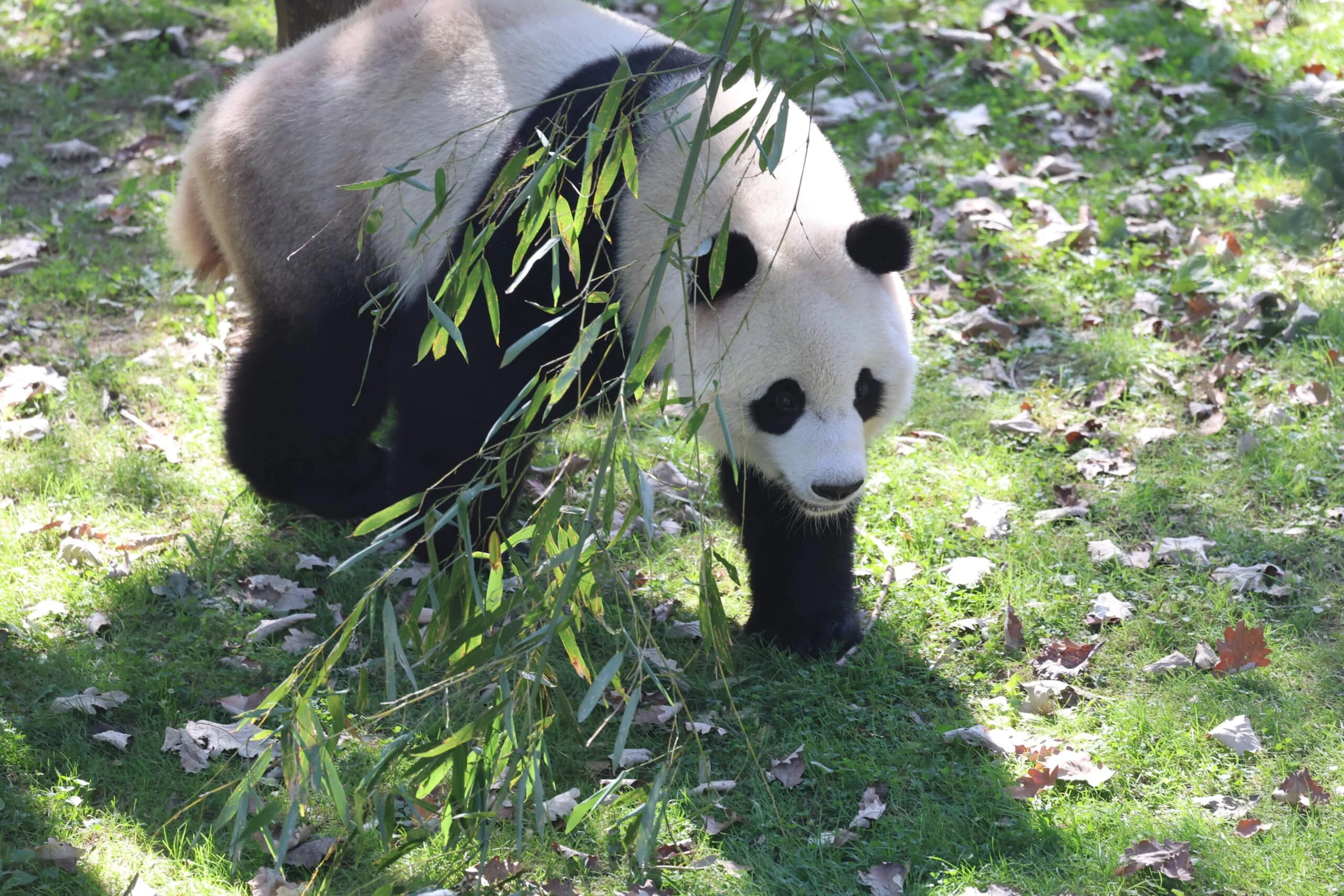 Smithsonian's National Zoo