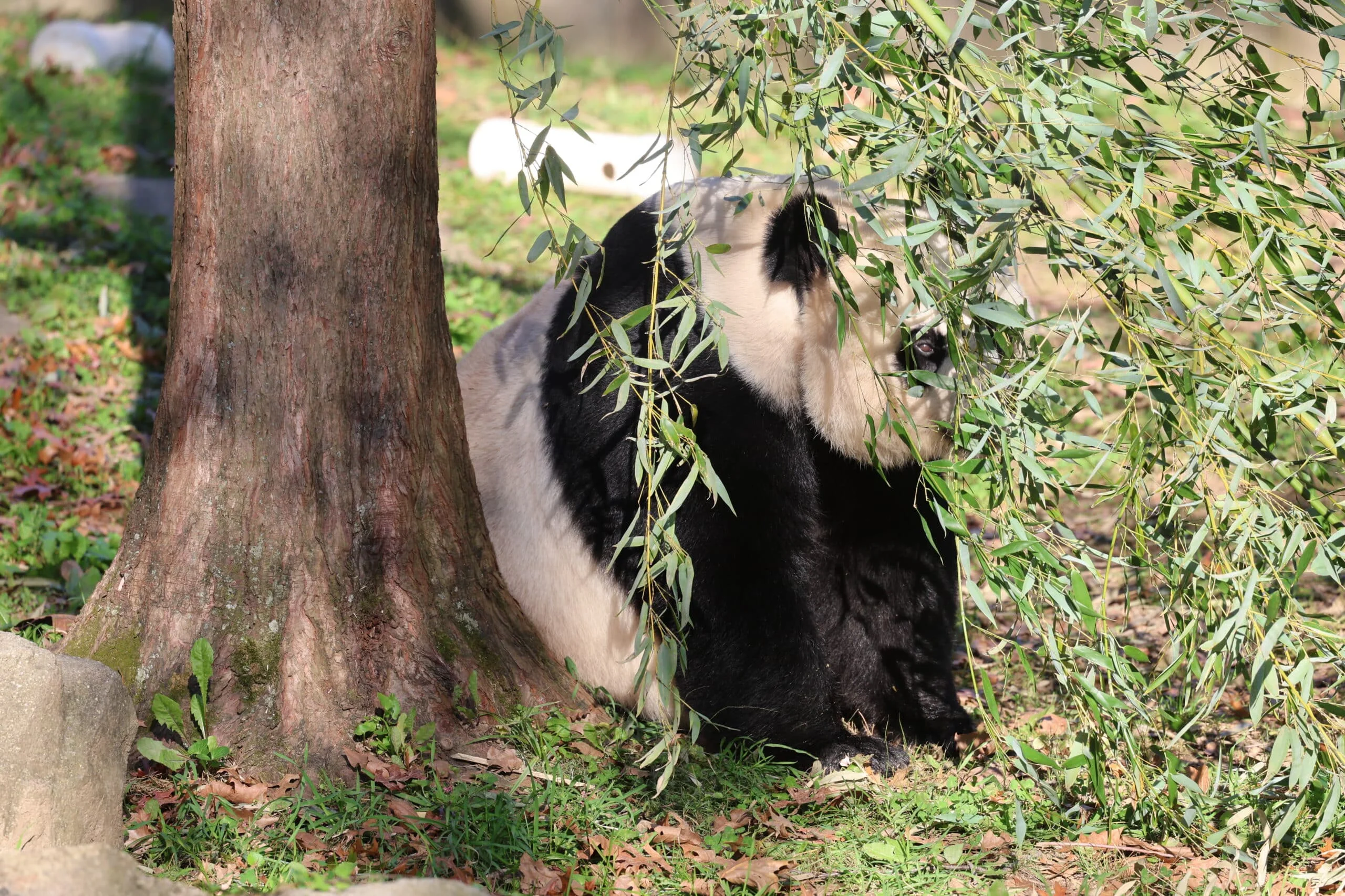 Smithsonian's National Zoo