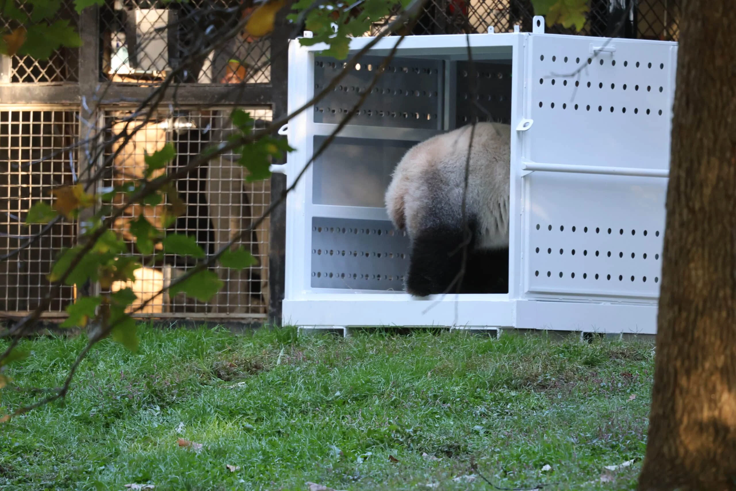 Smithsonian's National Zoo