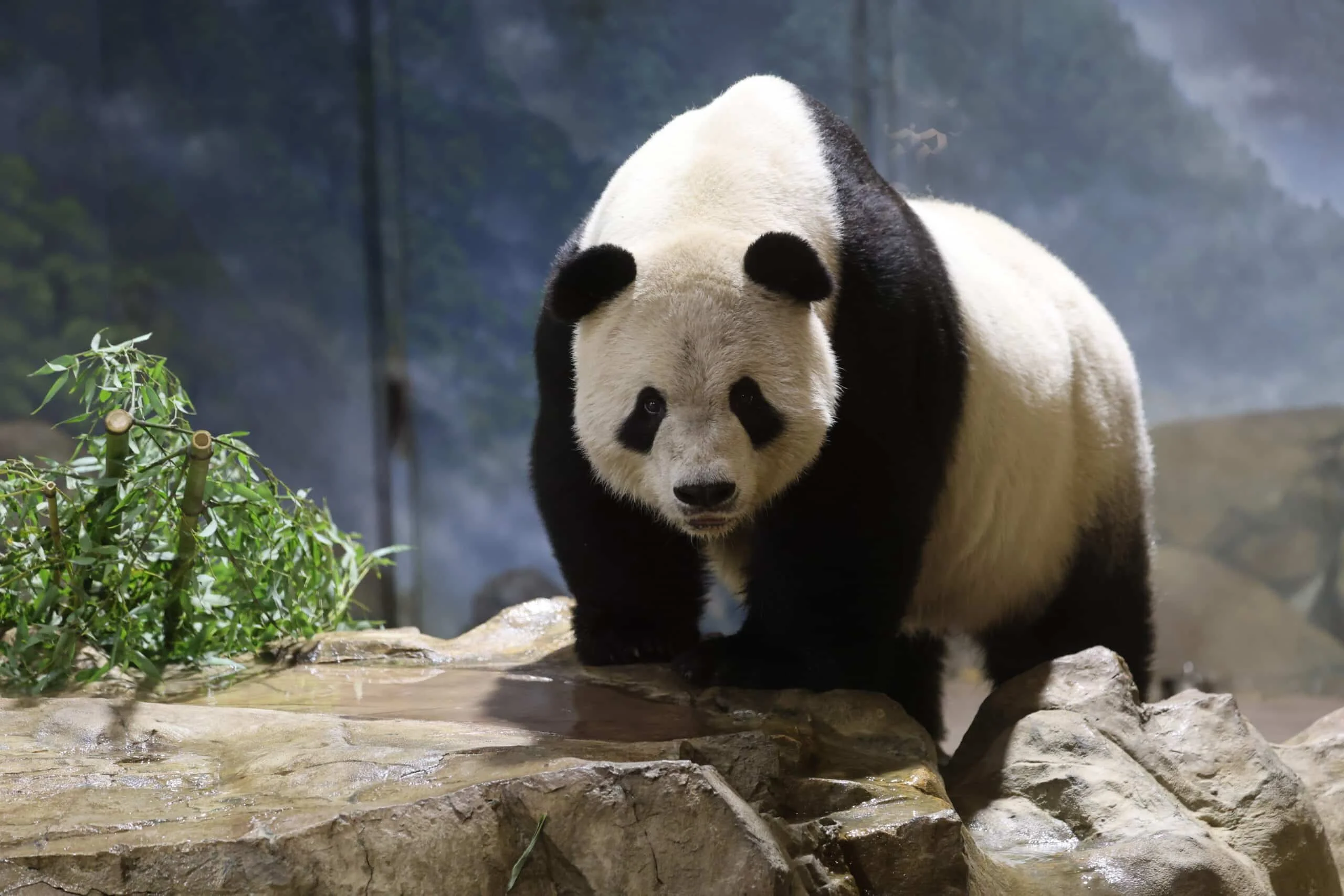 Smithsonian's National Zoo