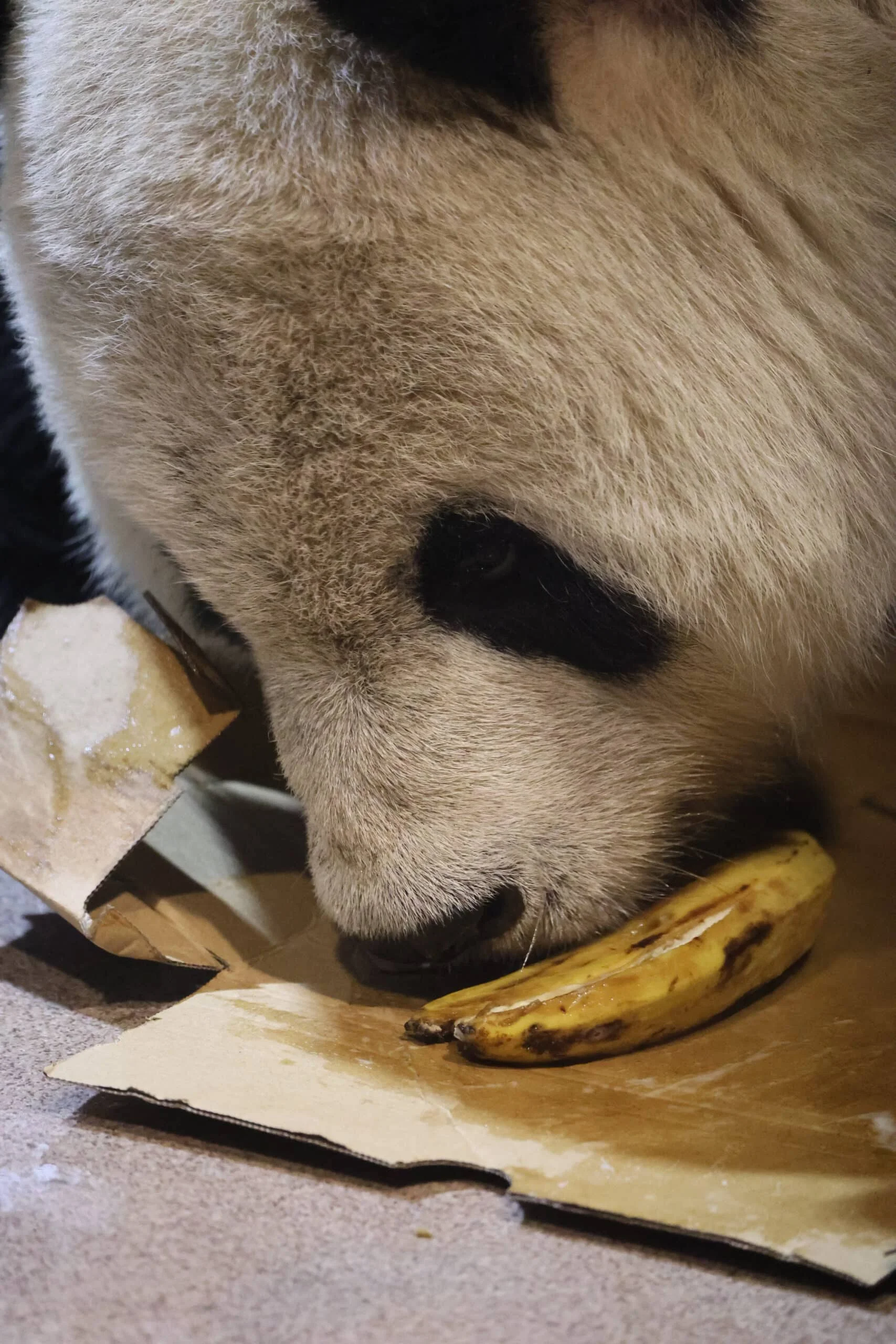 Smithsonian's National Zoo