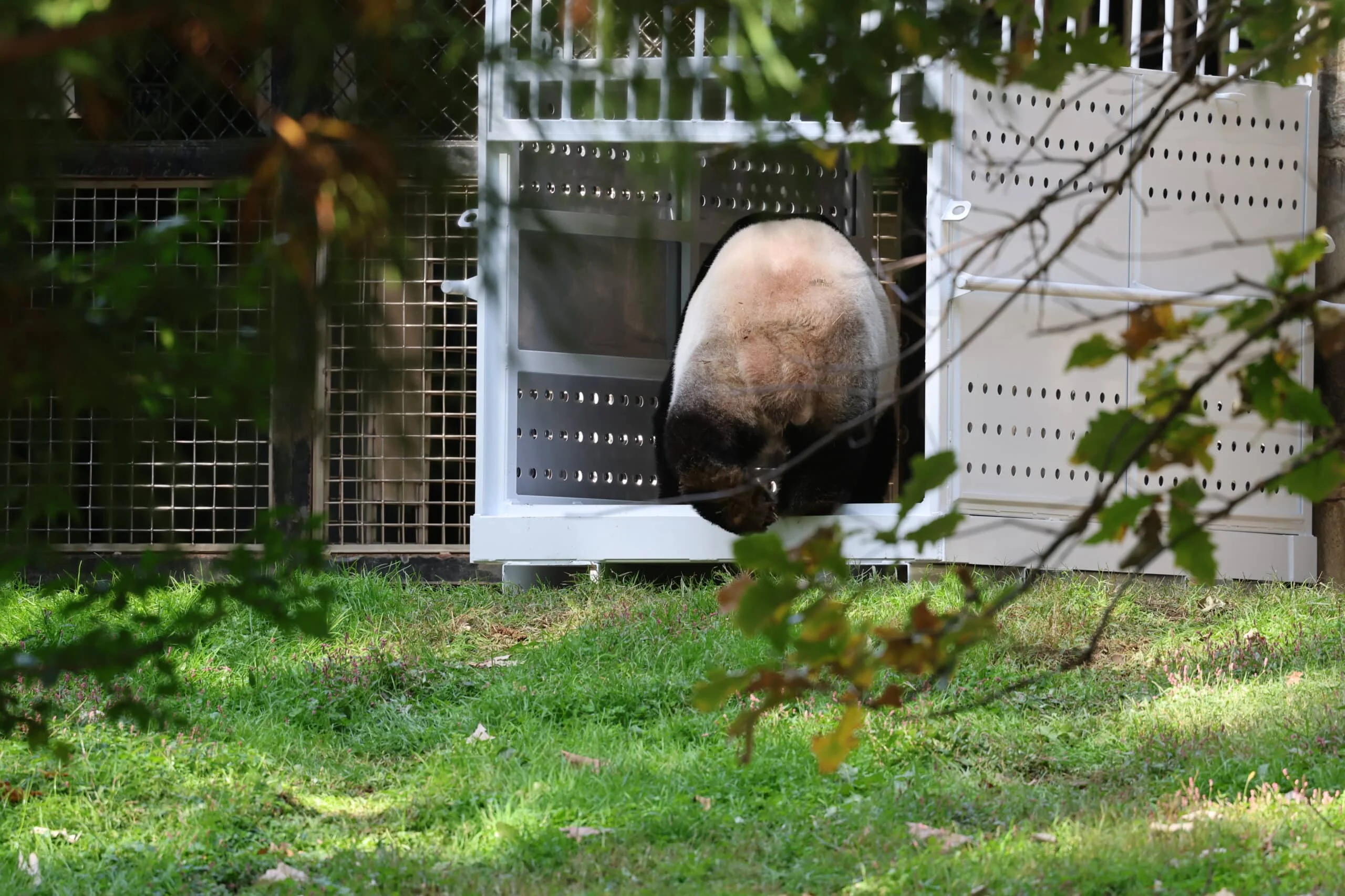 Smithsonian's National Zoo