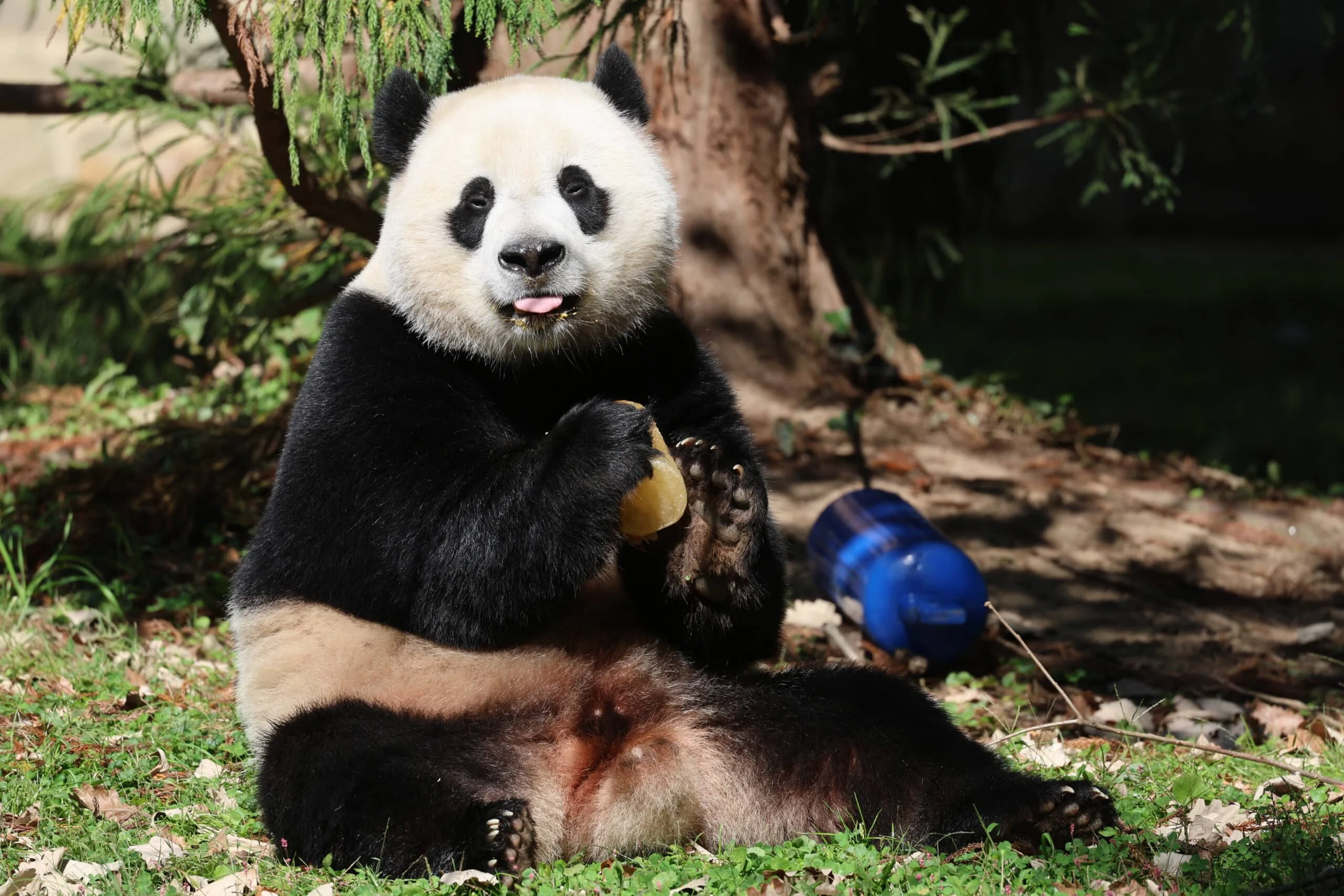 Smithsonian's National Zoo