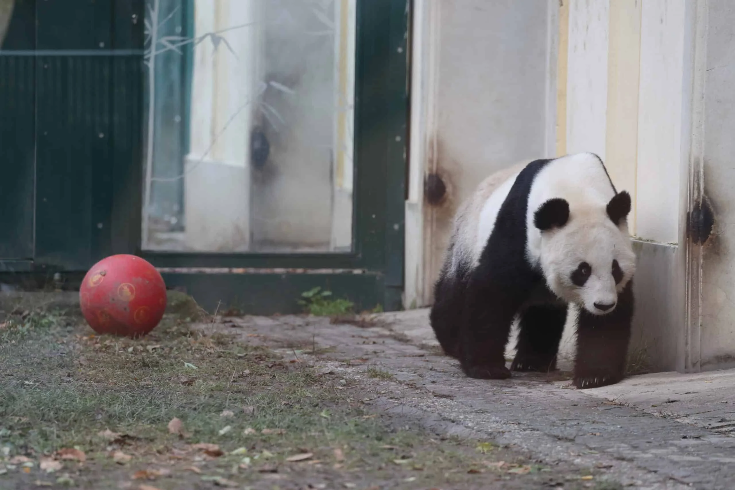 Tiergarten Schönbrunn