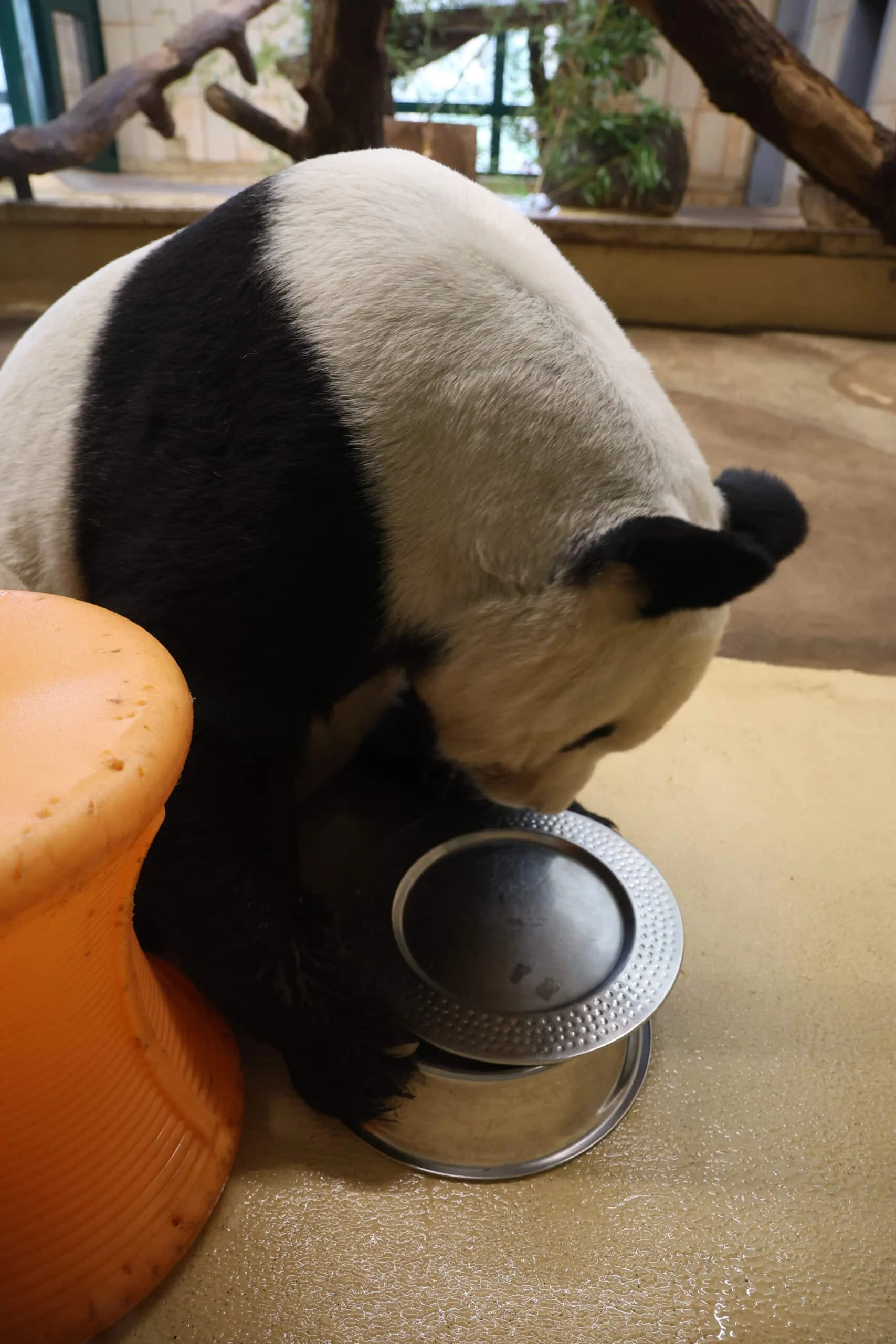 Tiergarten Schönbrunn