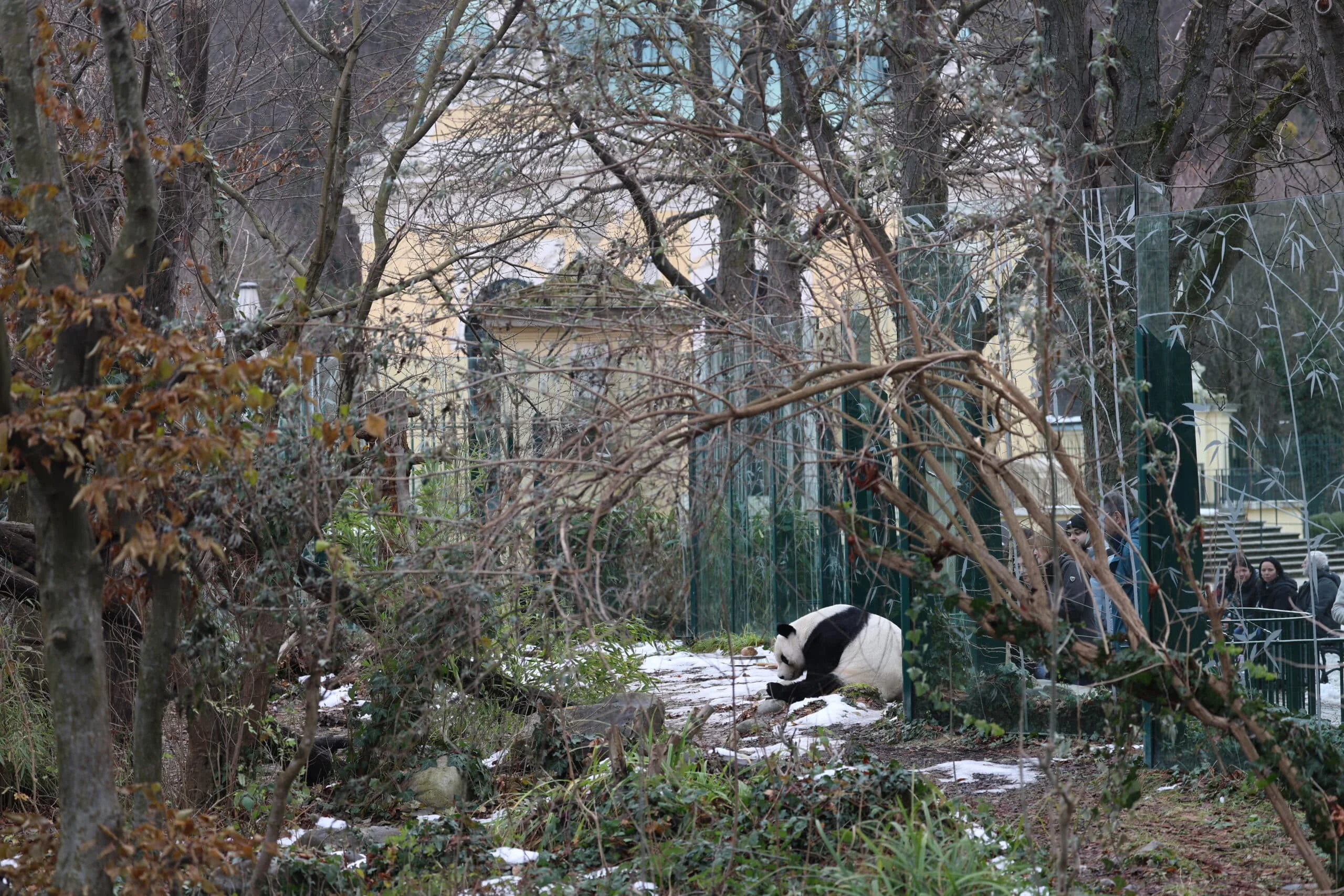 Tiergarten Schönbrunn
