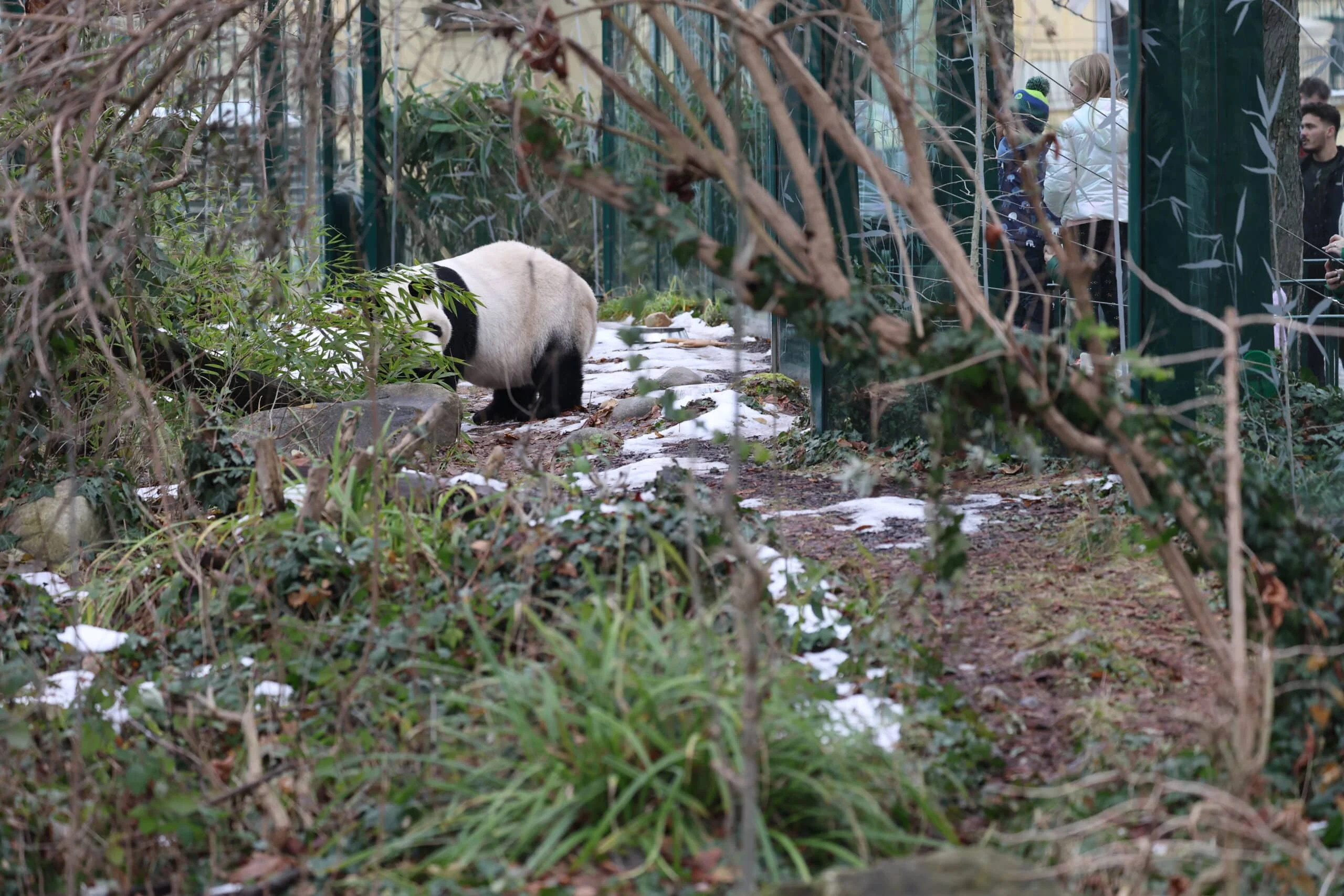 Tiergarten Schönbrunn