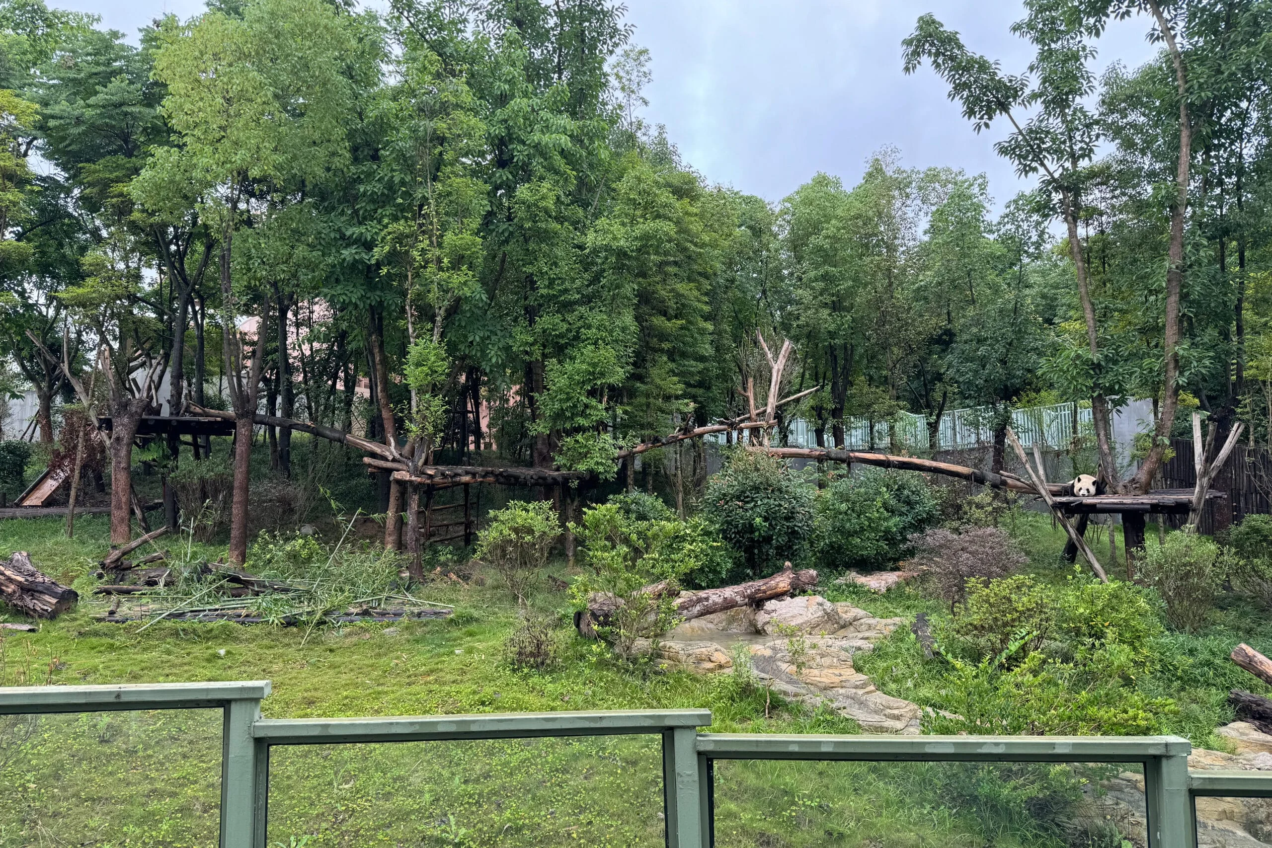 Chengdu Research Base of Giant Panda Breeding