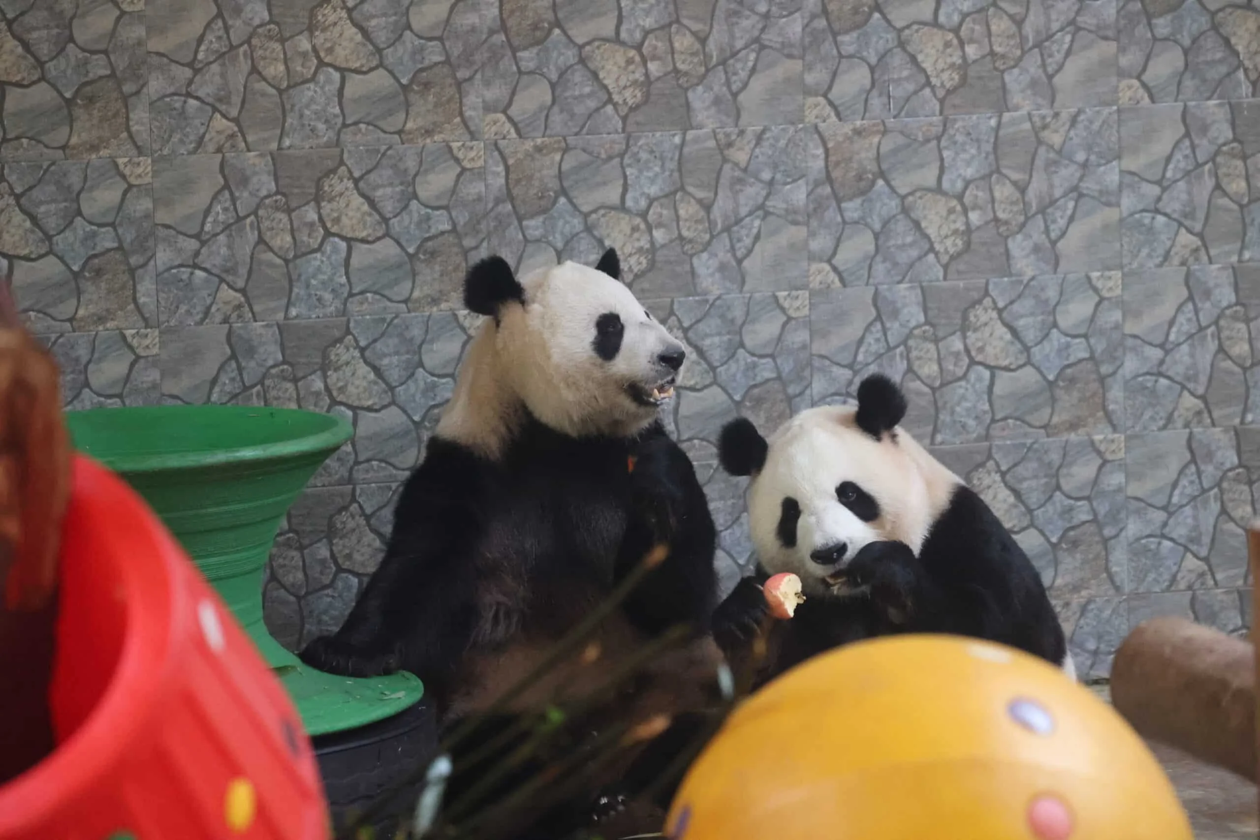 Xi'an Qinling Wild Animal Park