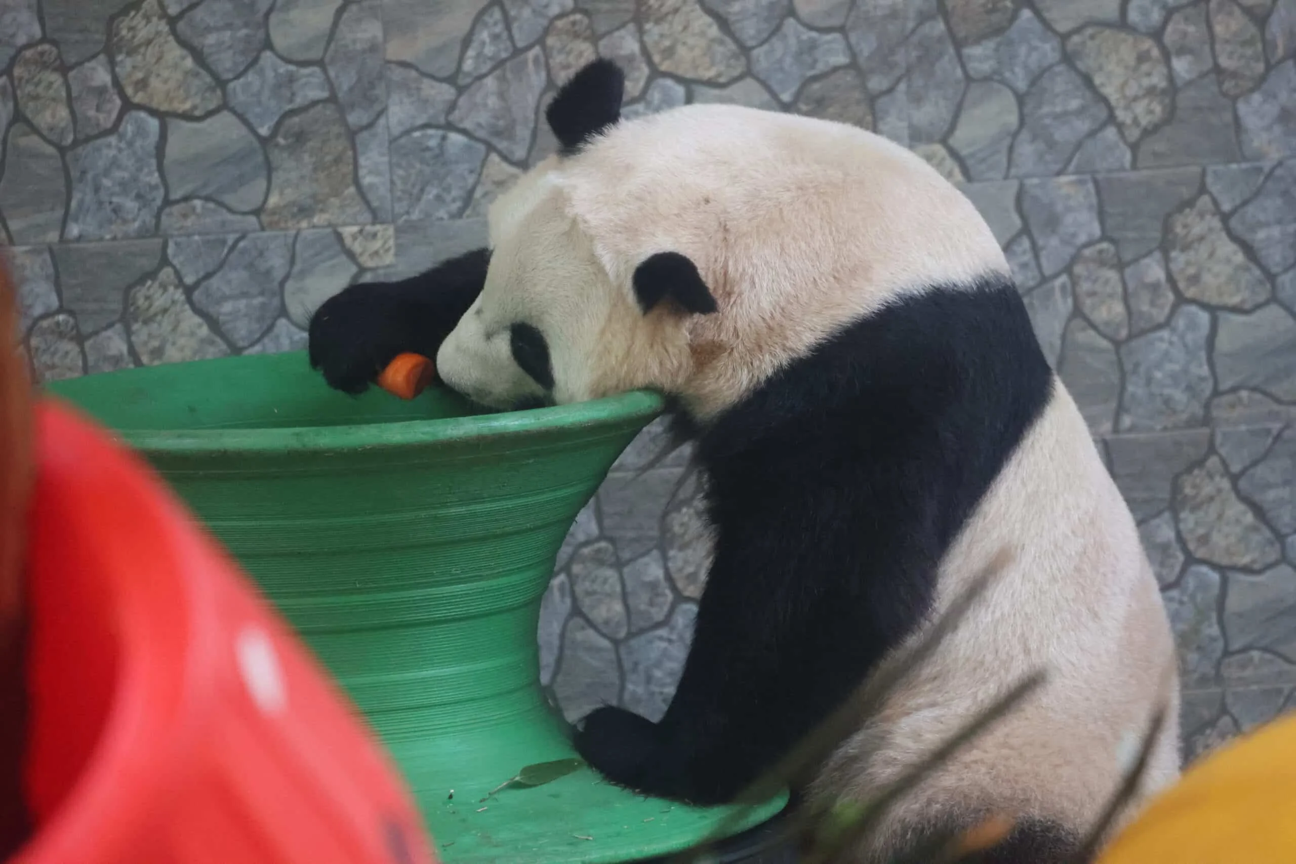 Xi'an Qinling Wild Animal Park