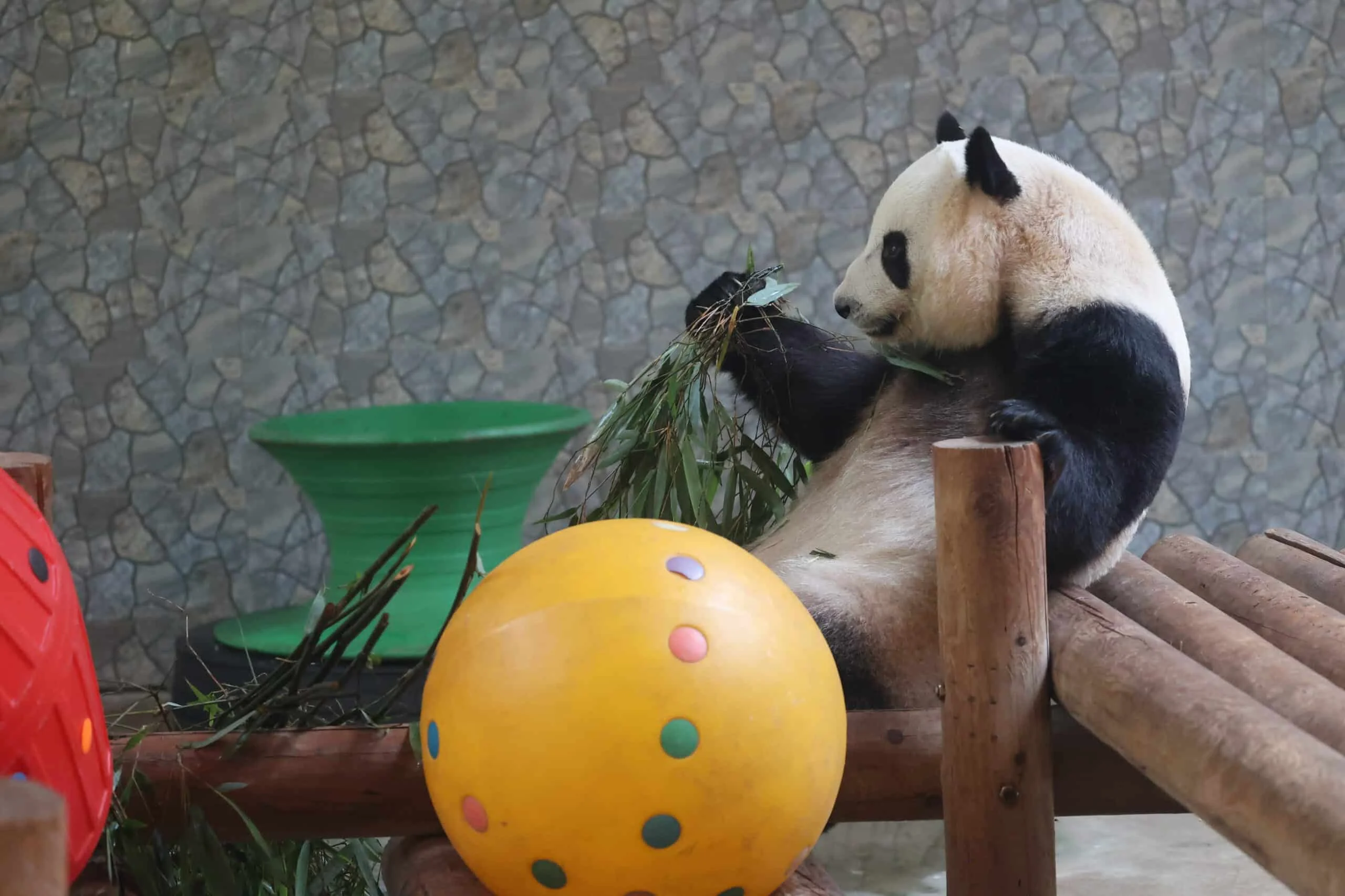 Xi'an Qinling Wild Animal Park