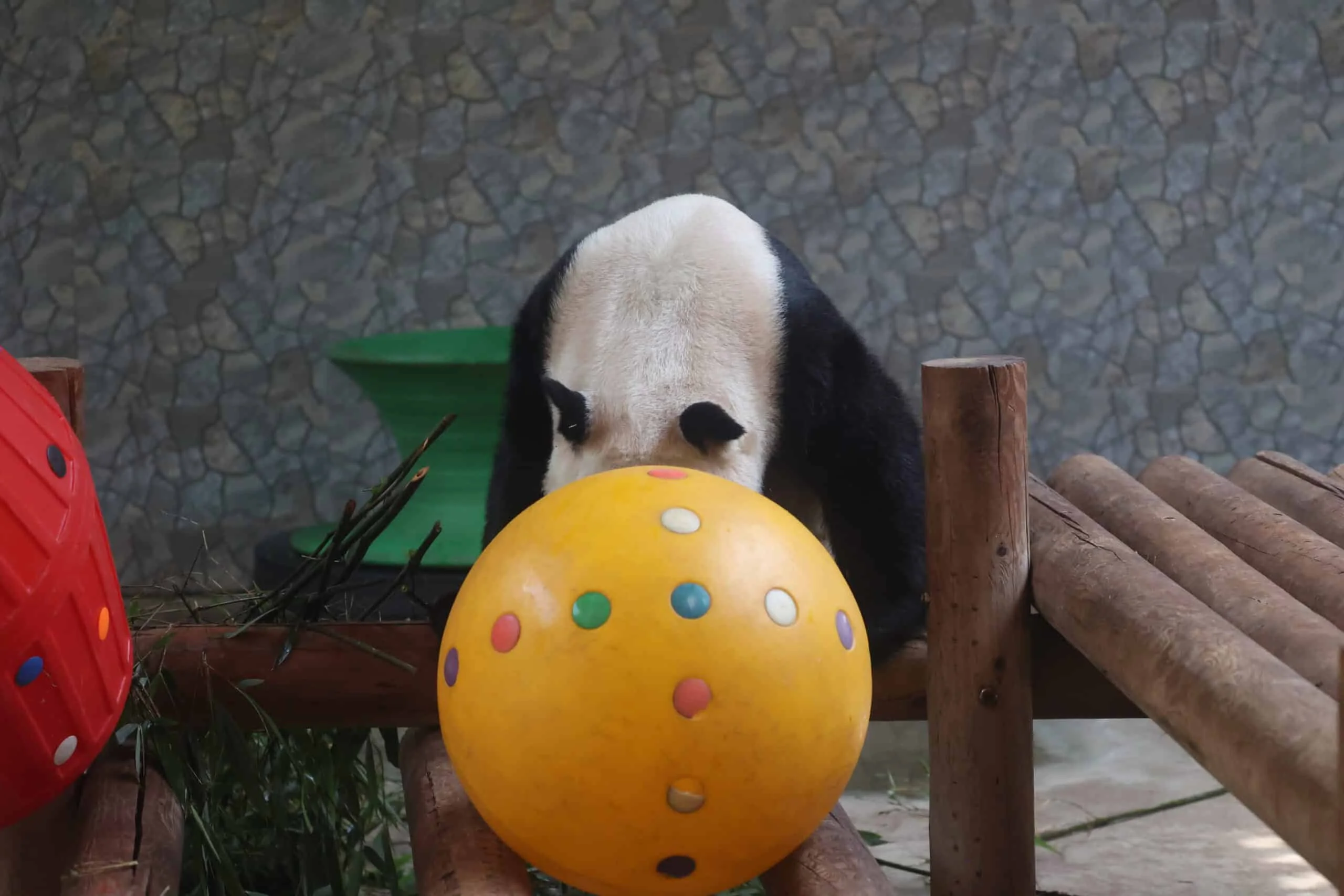 Xi'an Qinling Wild Animal Park