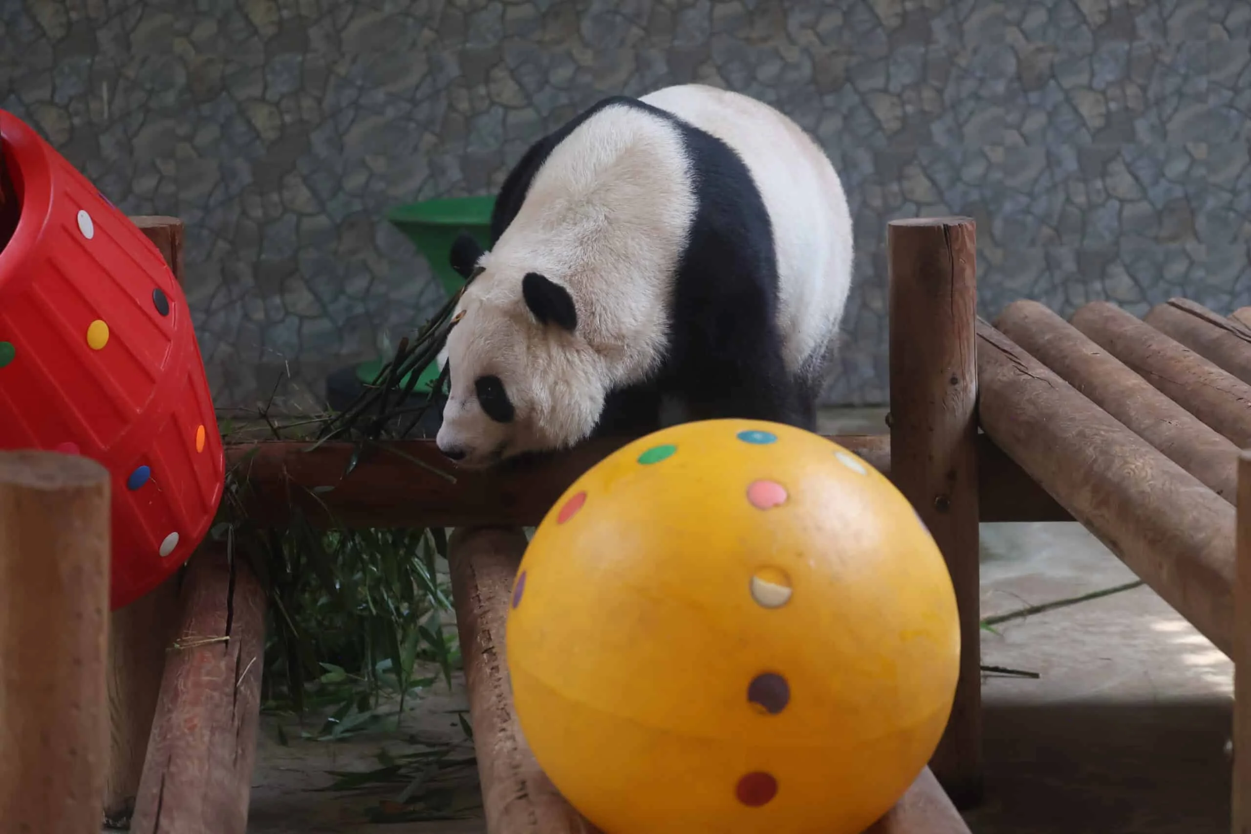 Xi'an Qinling Wild Animal Park