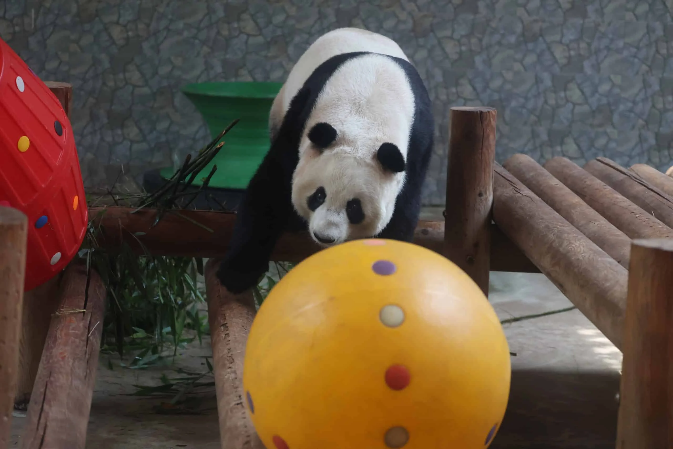 Xi'an Qinling Wild Animal Park