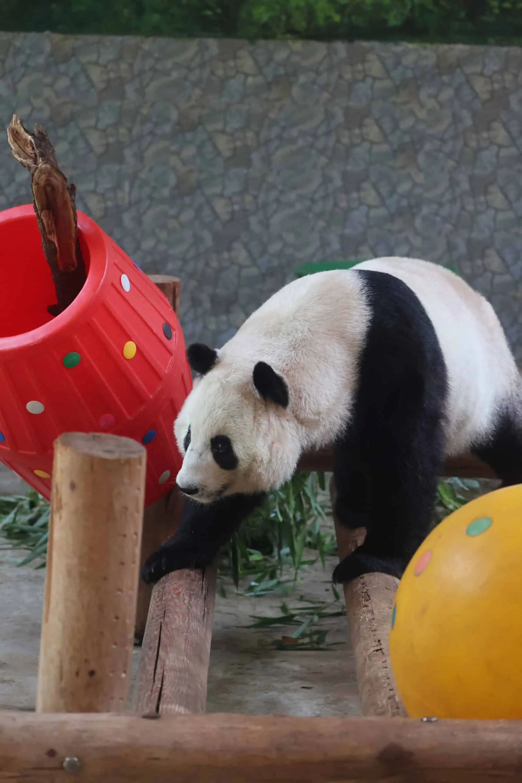 Xi'an Qinling Wild Animal Park