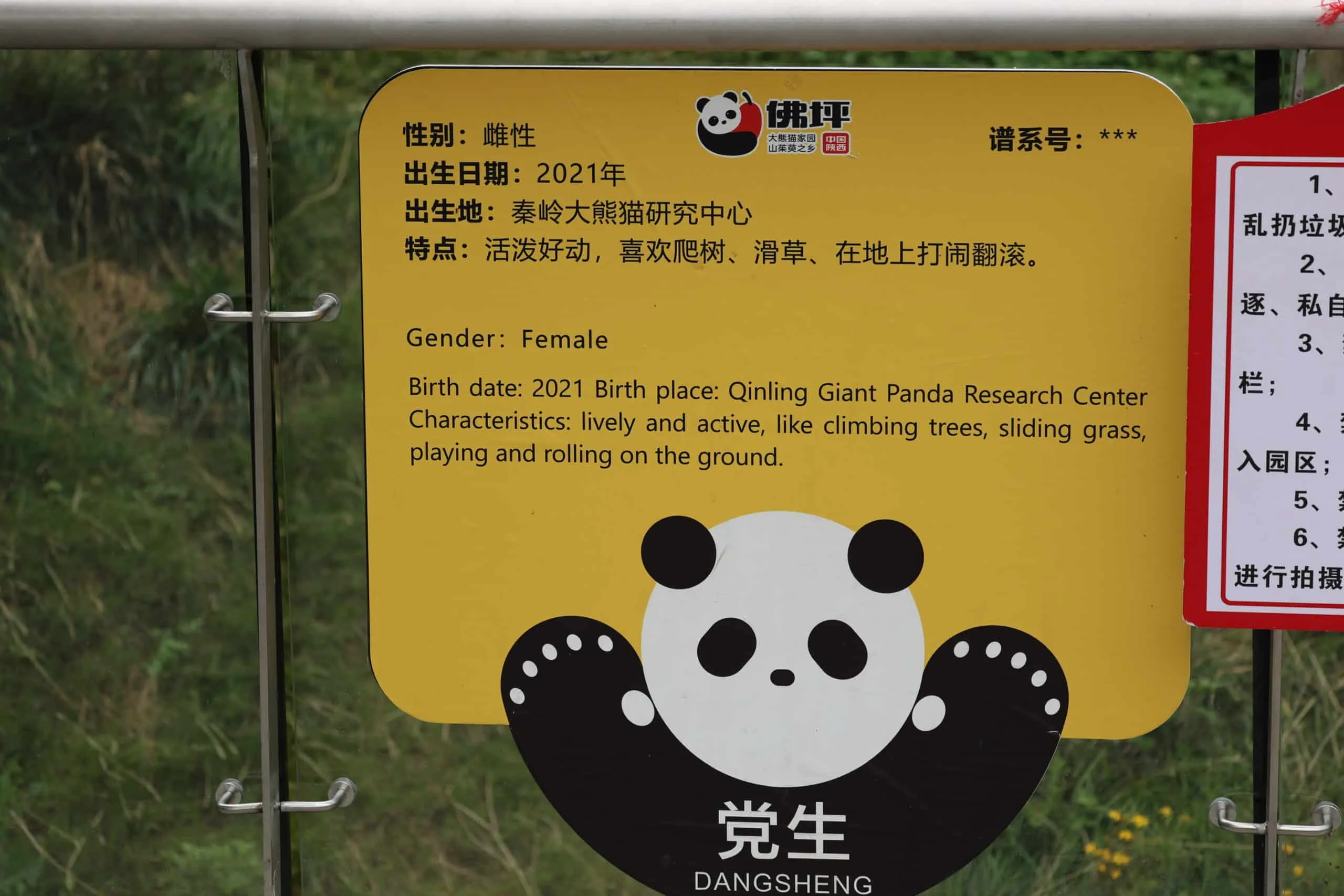 Qinling Giant Panda Foping Rescue Breeding Base