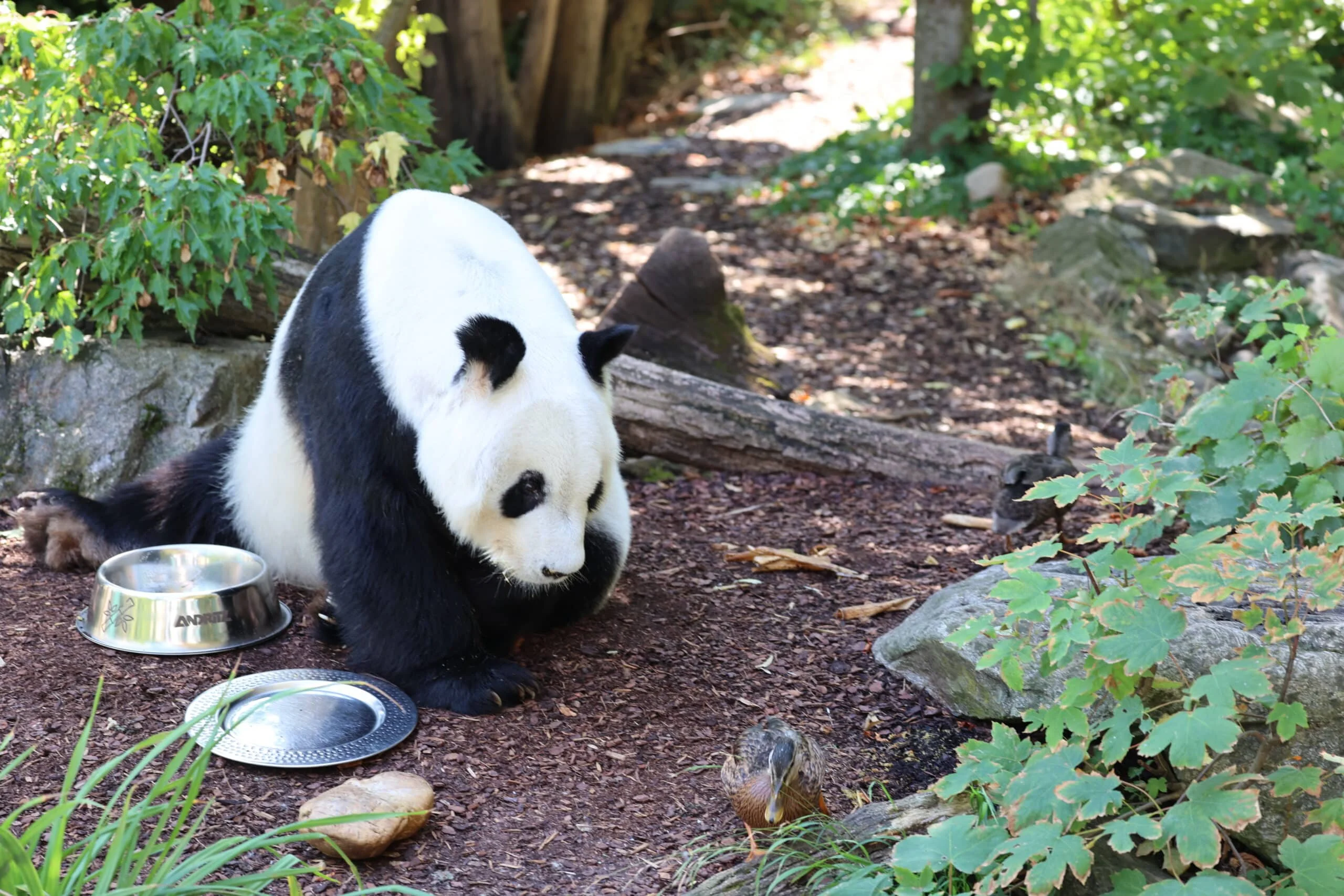 Tiergarten Schönbrunn