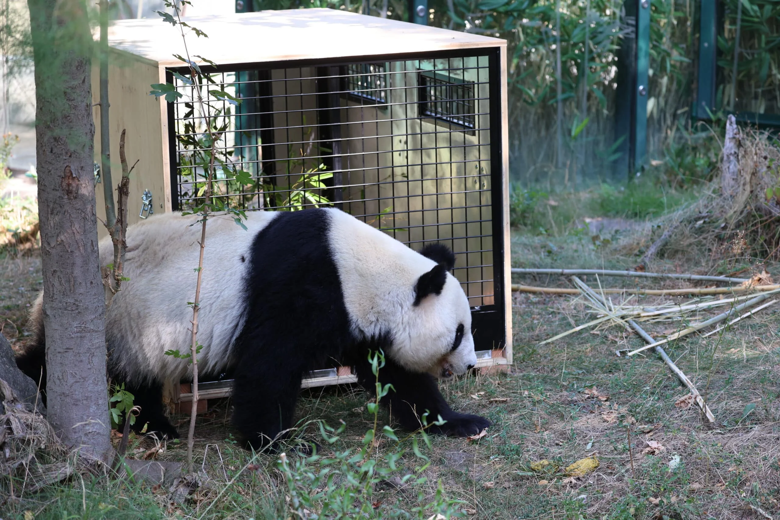 Tiergarten Schönbrunn