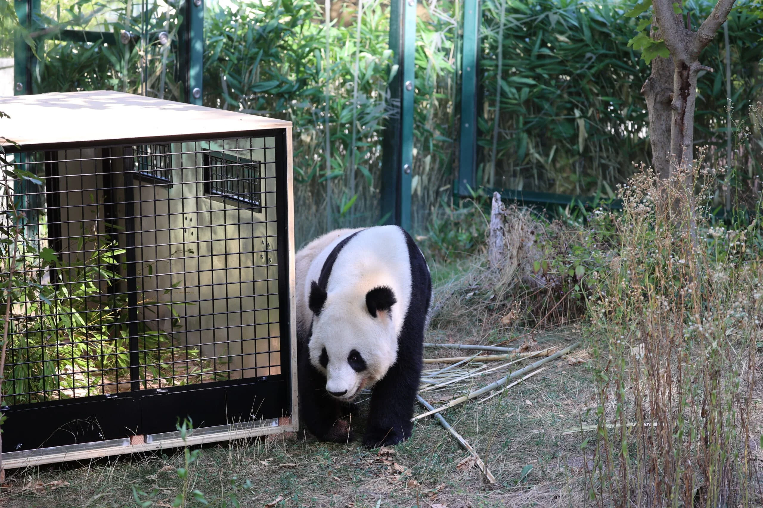 Tiergarten Schönbrunn