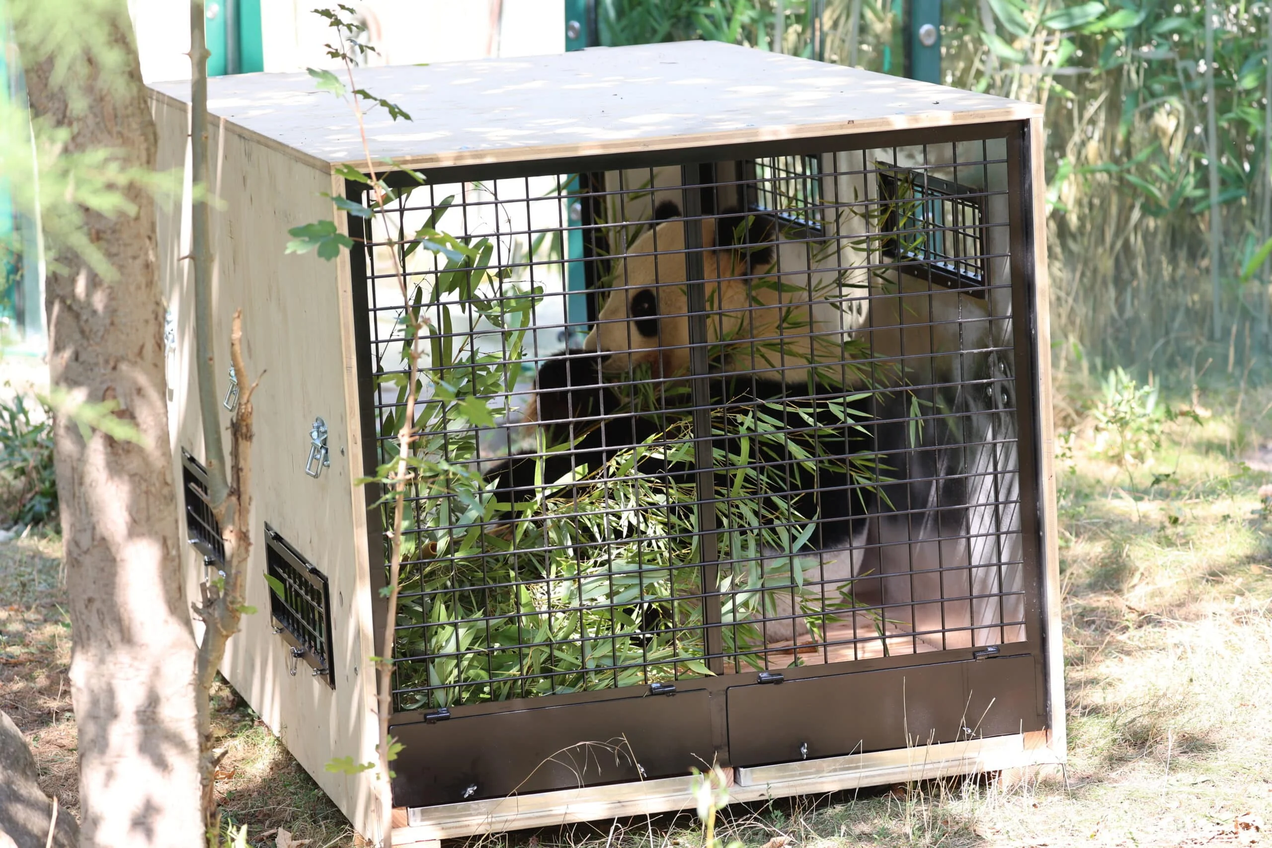 Tiergarten Schönbrunn