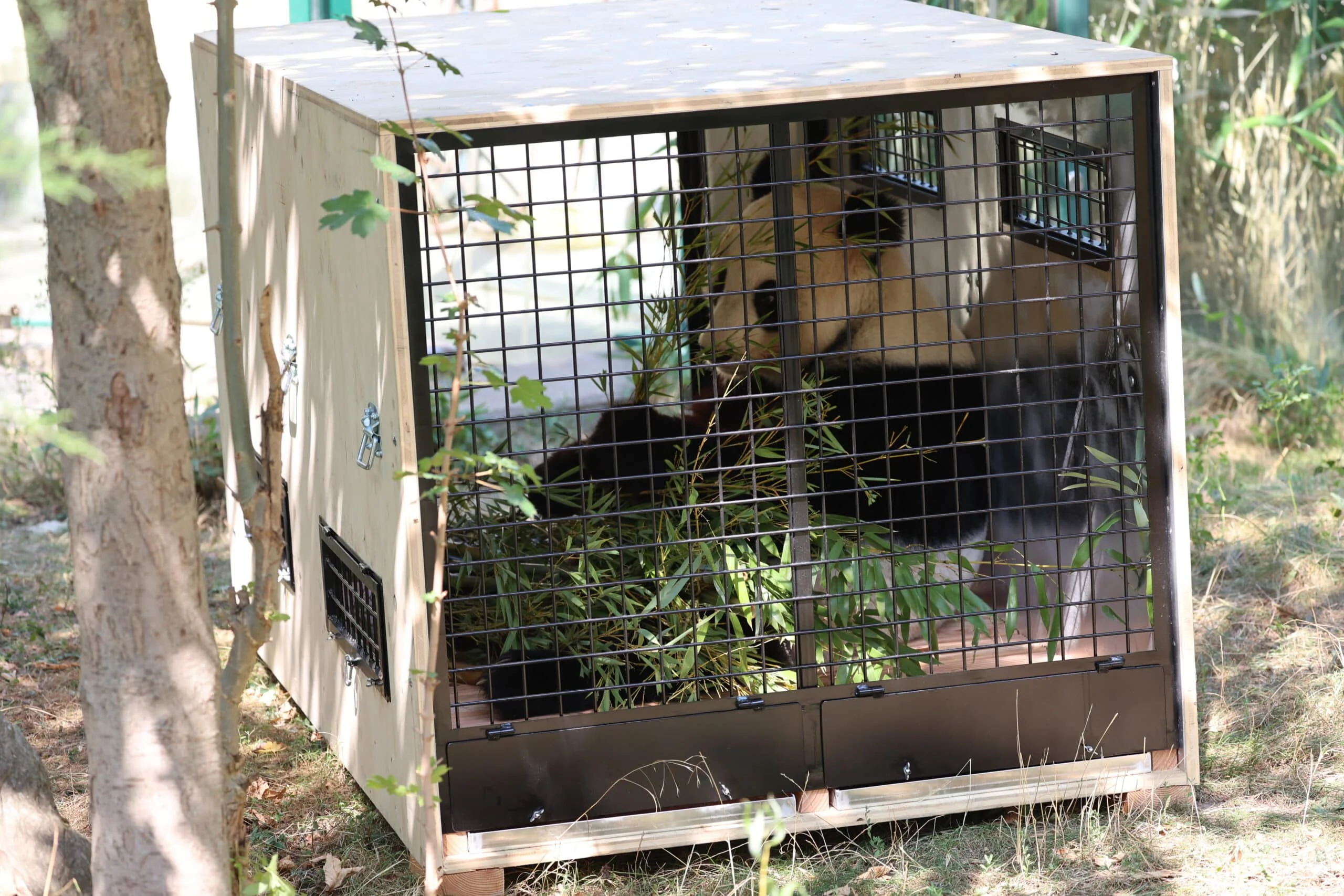 Tiergarten Schönbrunn