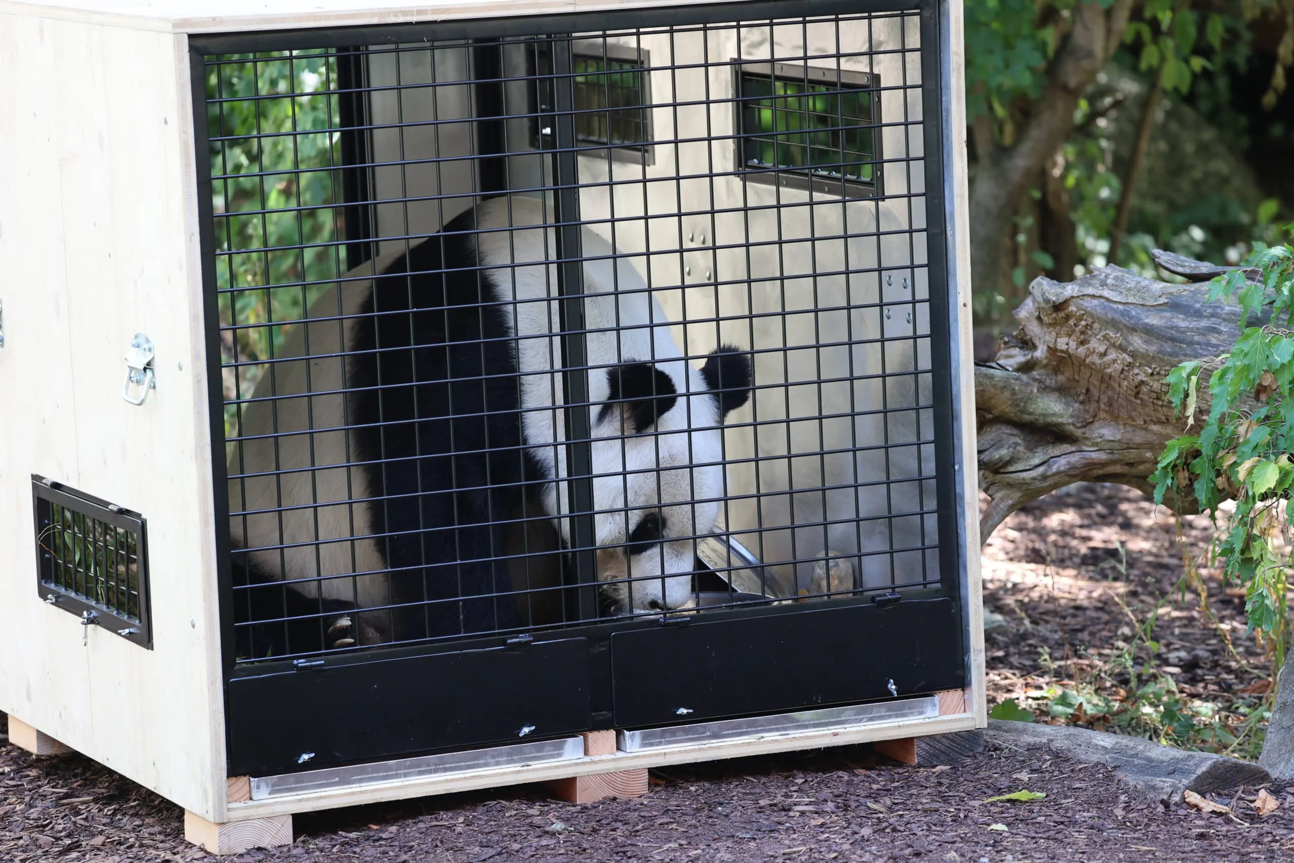 Tiergarten Schönbrunn
